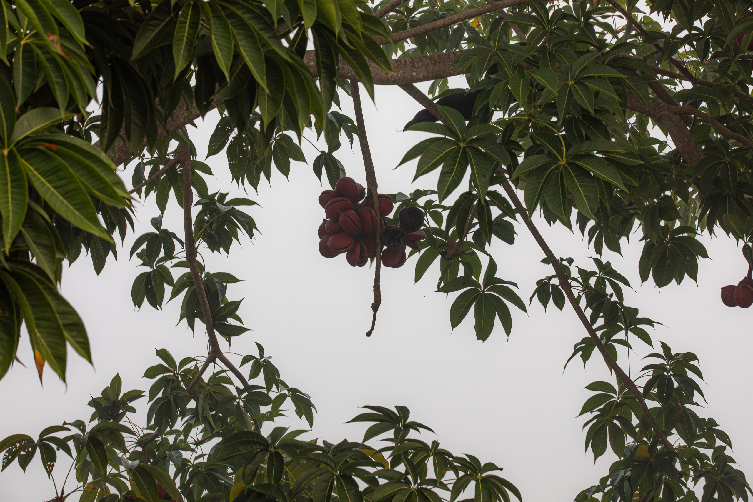 20240114070602 RD4 9582