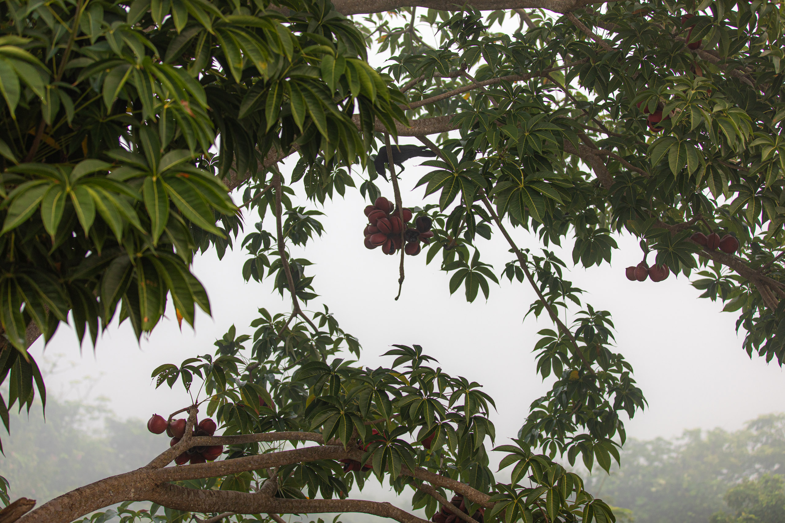 20240114070621 RD4 9584