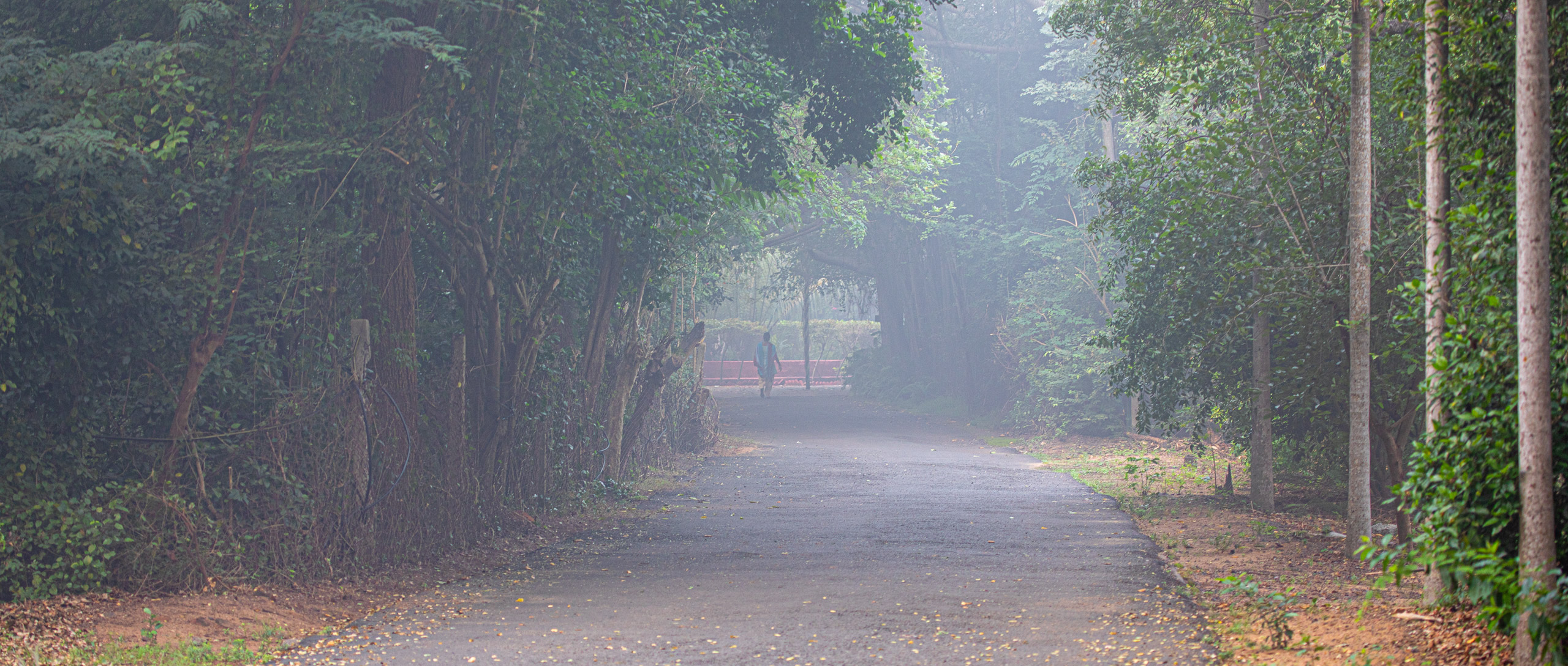 20240114081524 RD4 9620