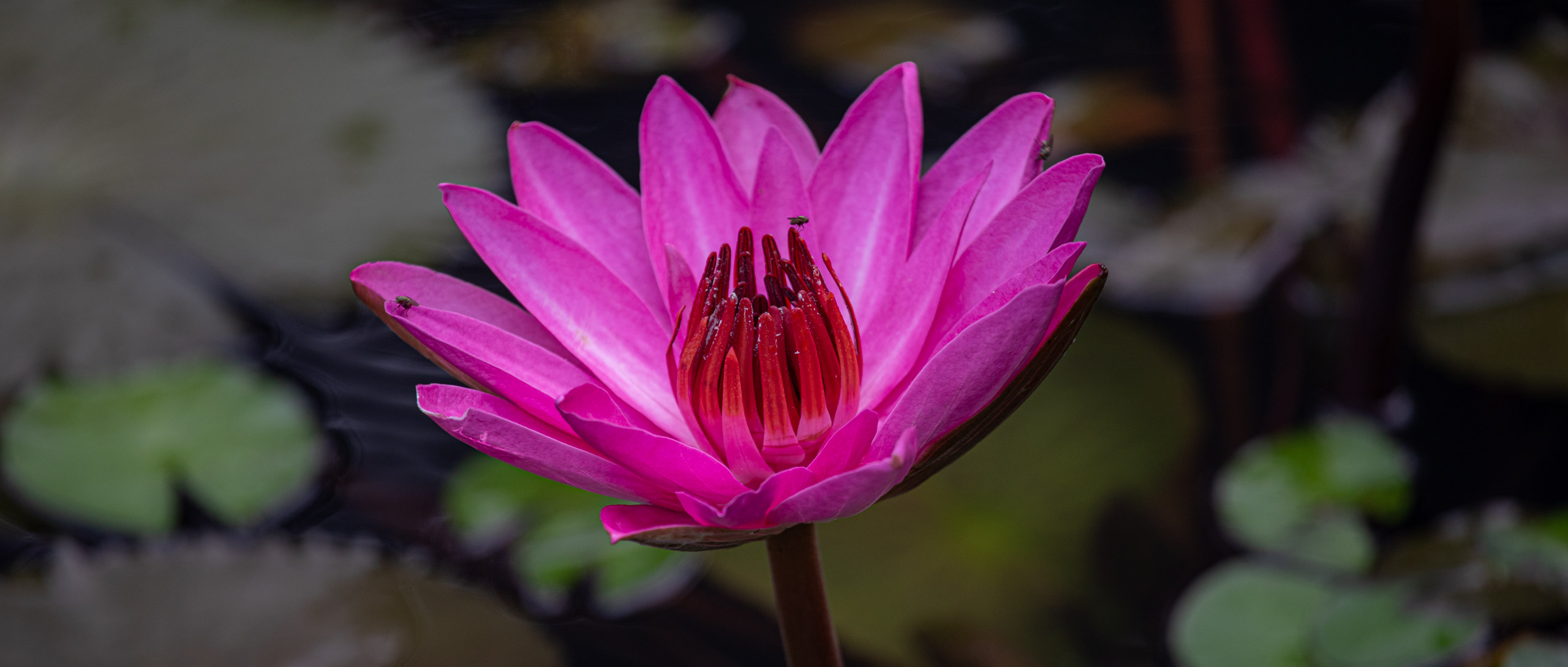 20240114083031 RD4 9647