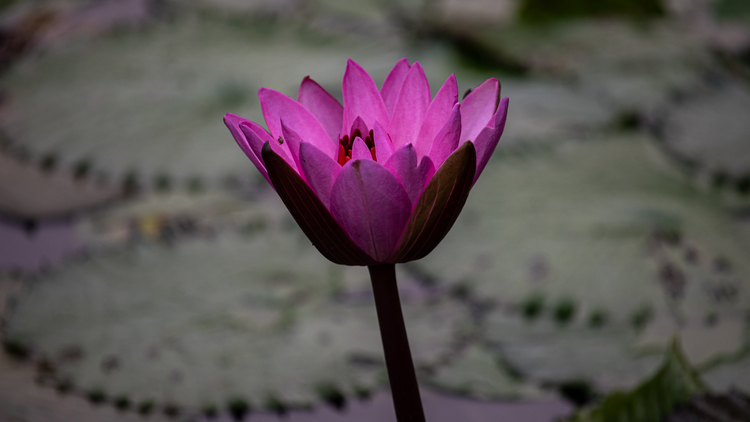 20240114083036 RD4 9649