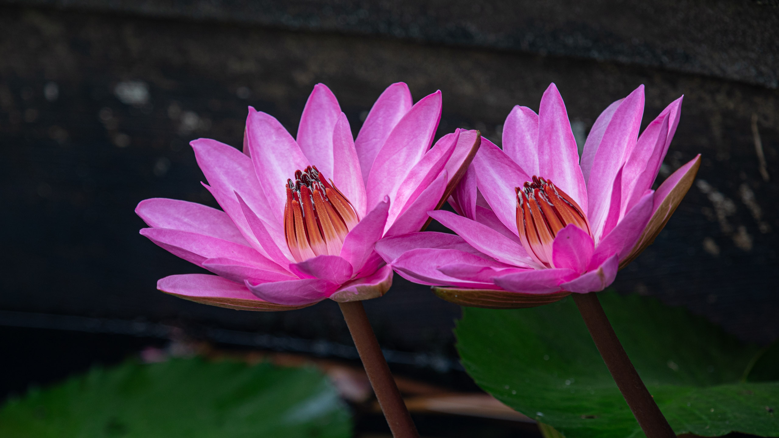 20240114083048 RD4 9651