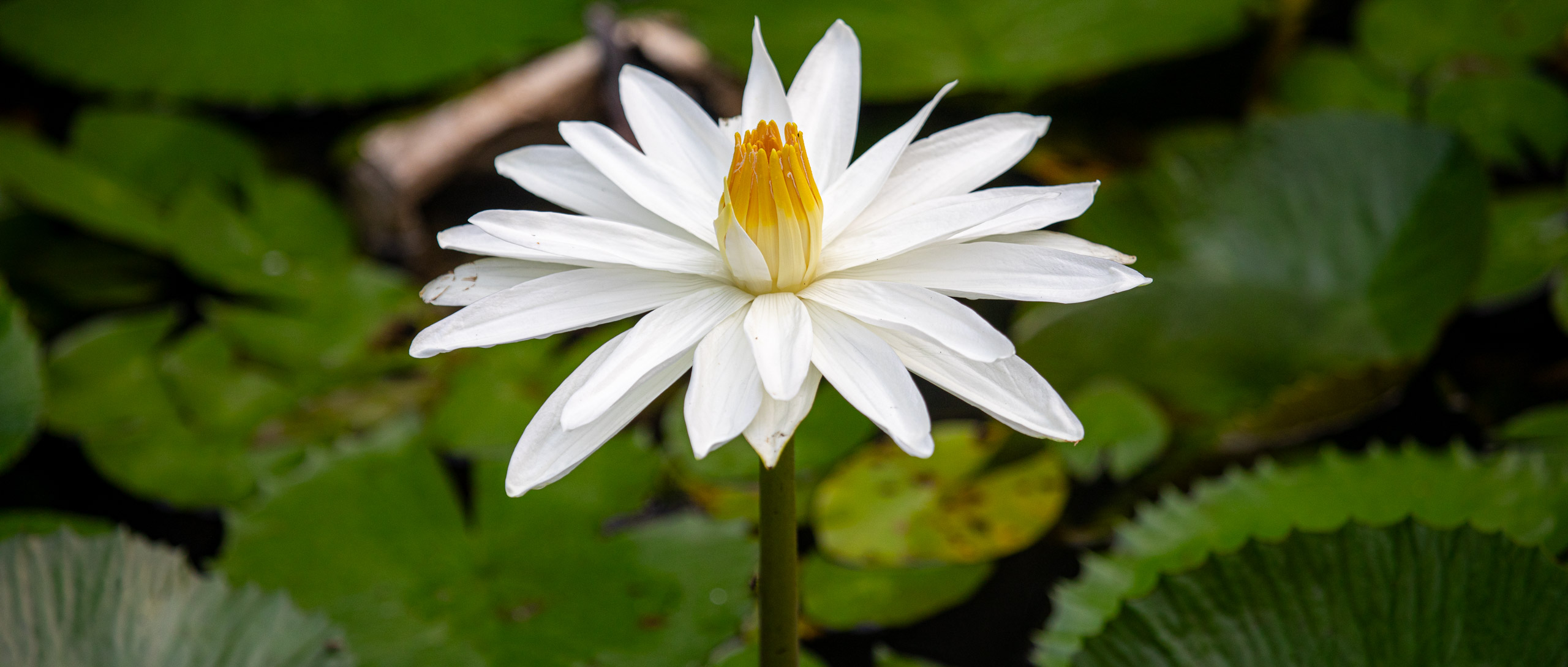 20240114083059 RD4 9654