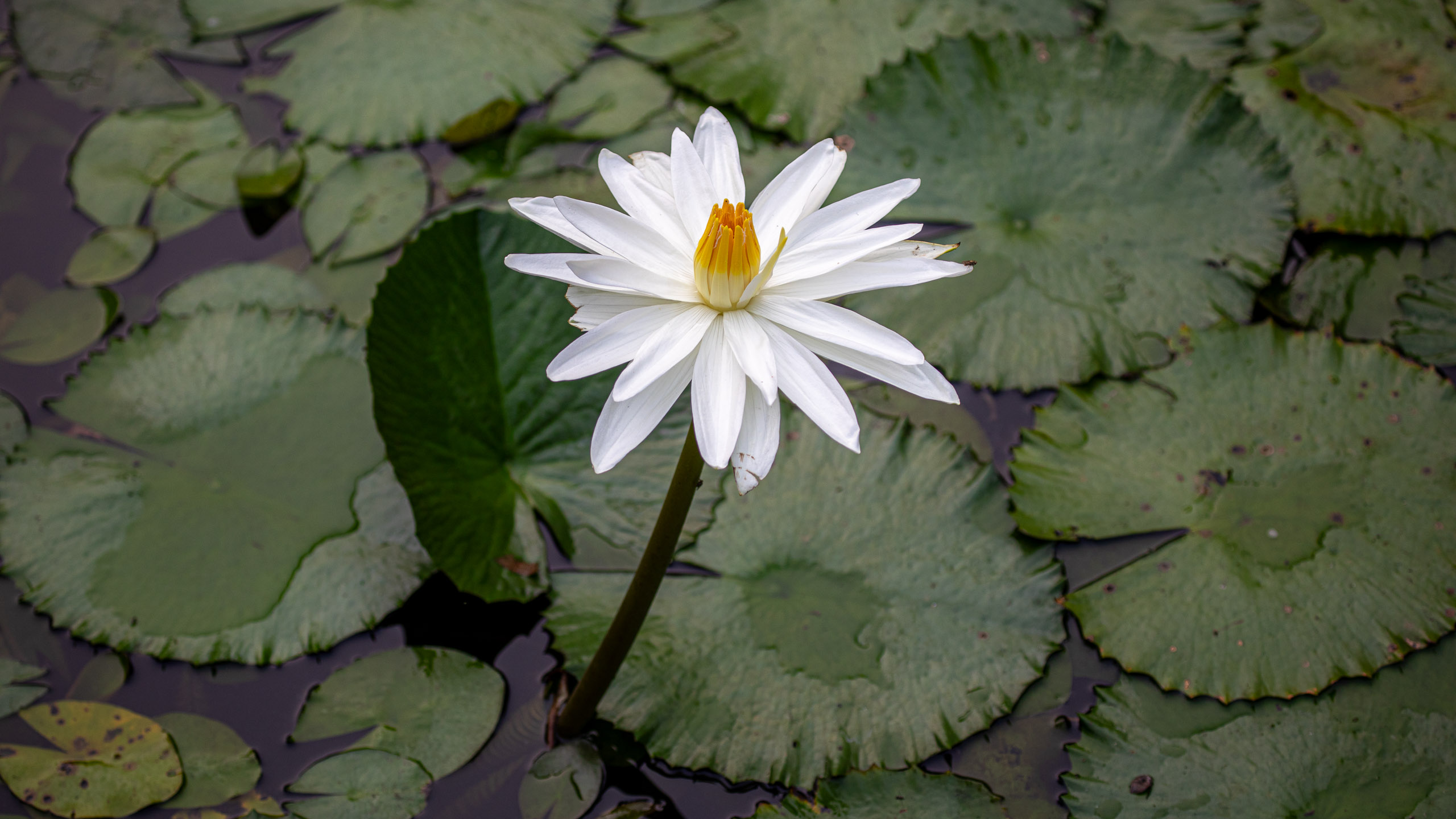 20240114083123 RD4 9657