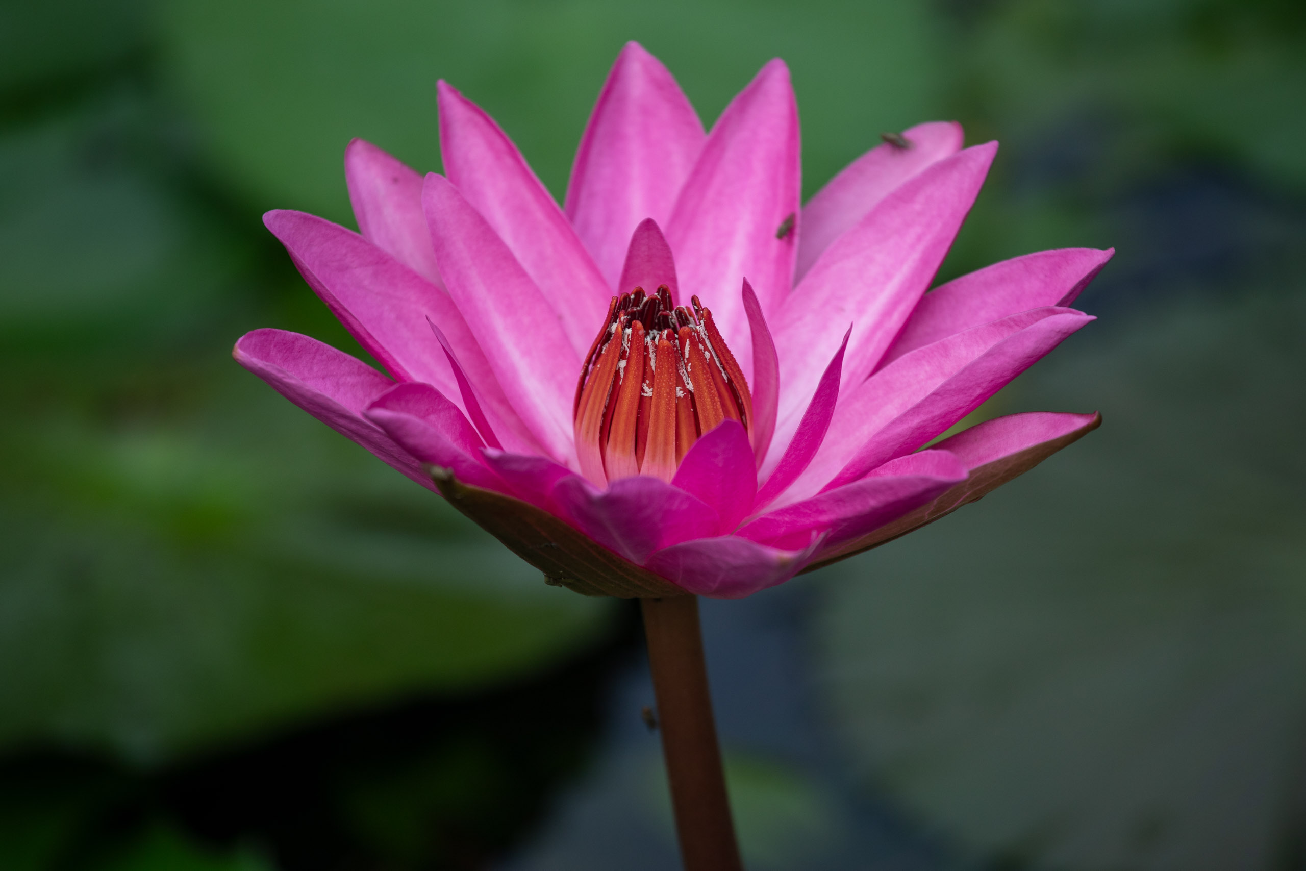 20240114083148 RD4 9663