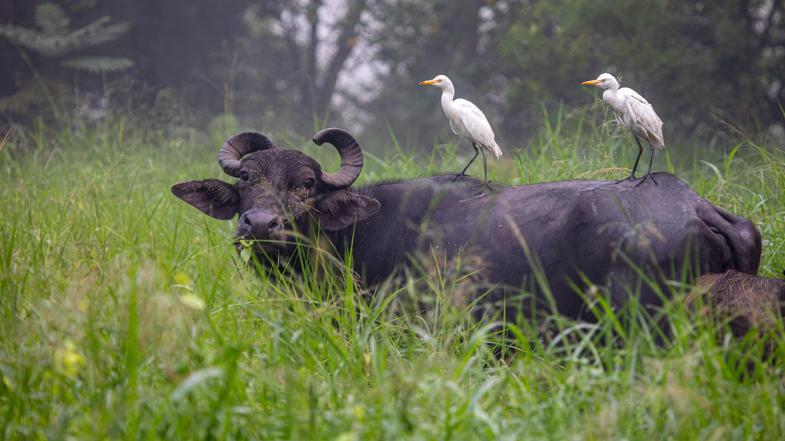 20240114083358 RD4 9679