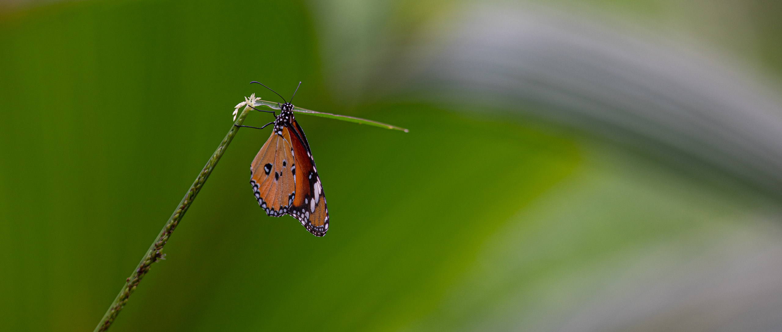 20240114083520 RD4 9699