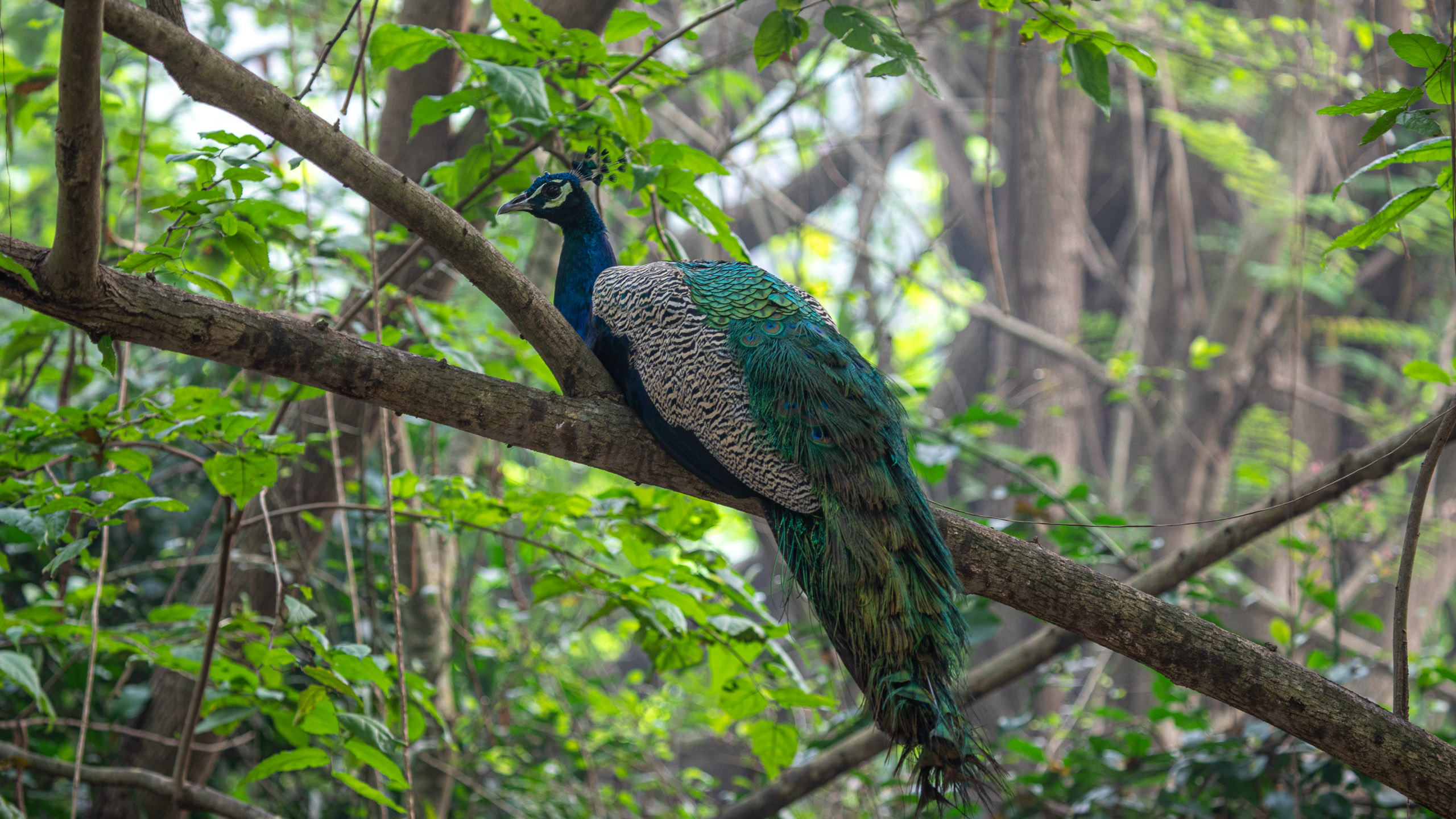 20240114084014 RD4 9726