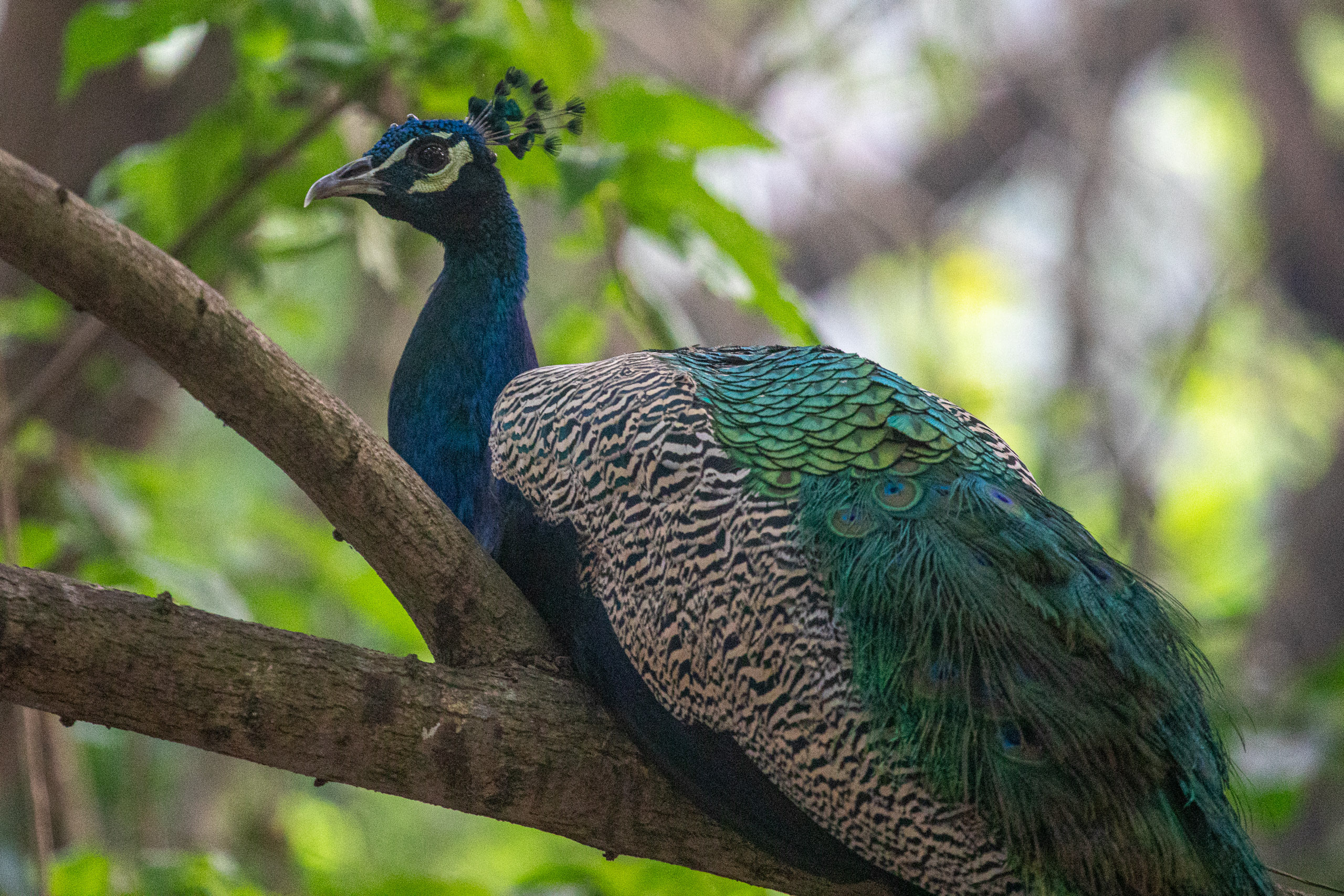 20240114084029 RD4 9735