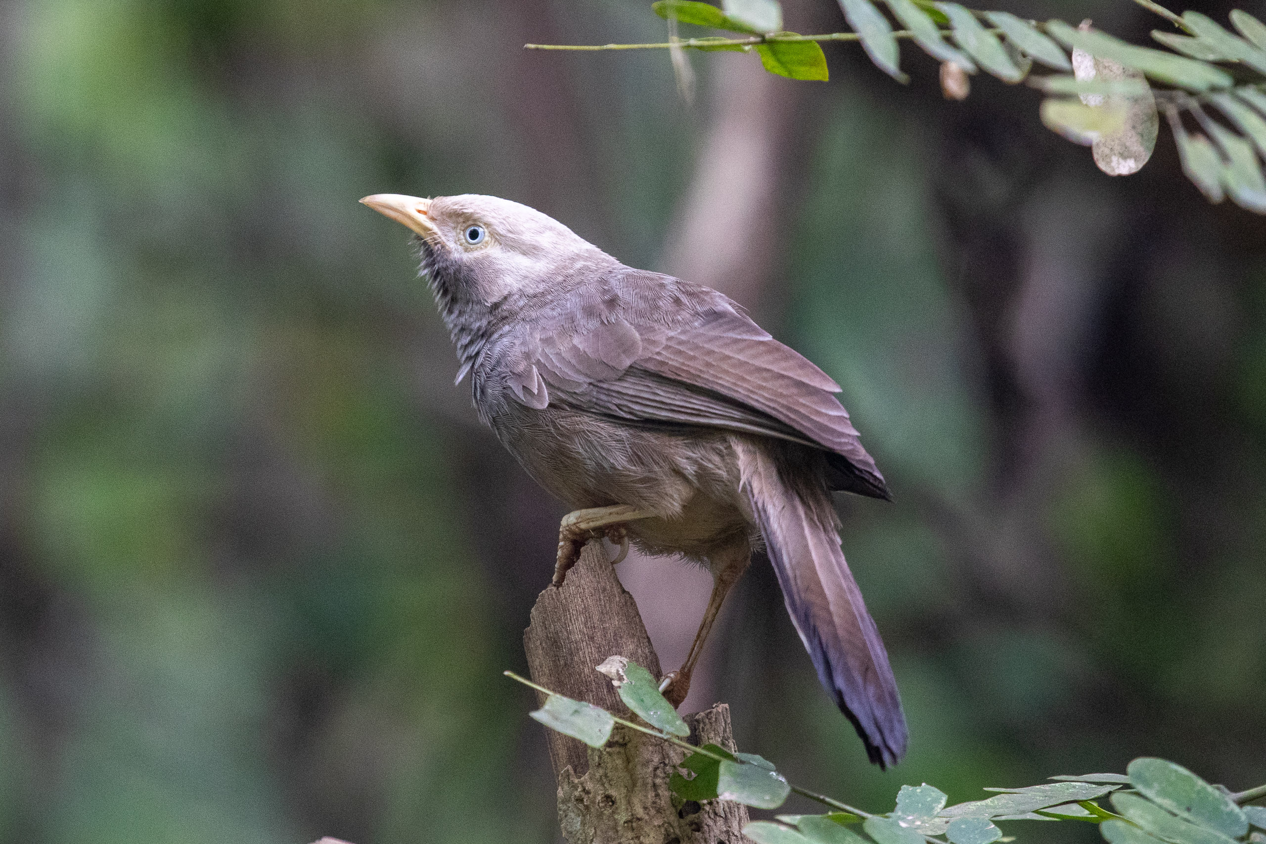 20240114084113 RD4 9745