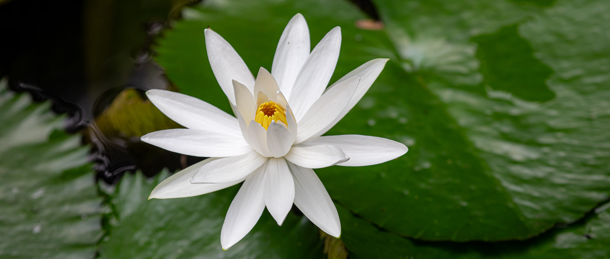 20240114095658 RD4 9756