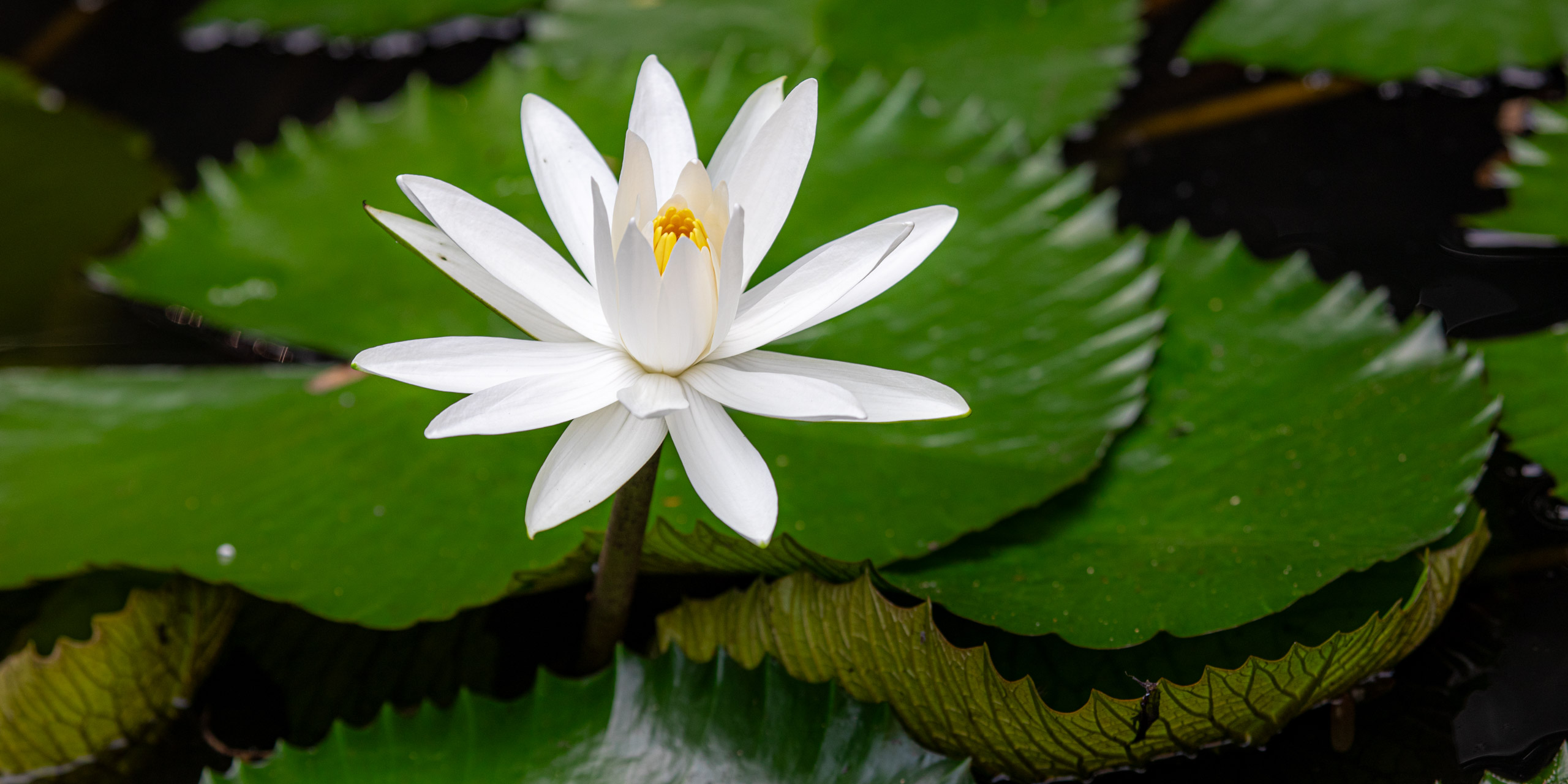 20240114095720 RD4 9761