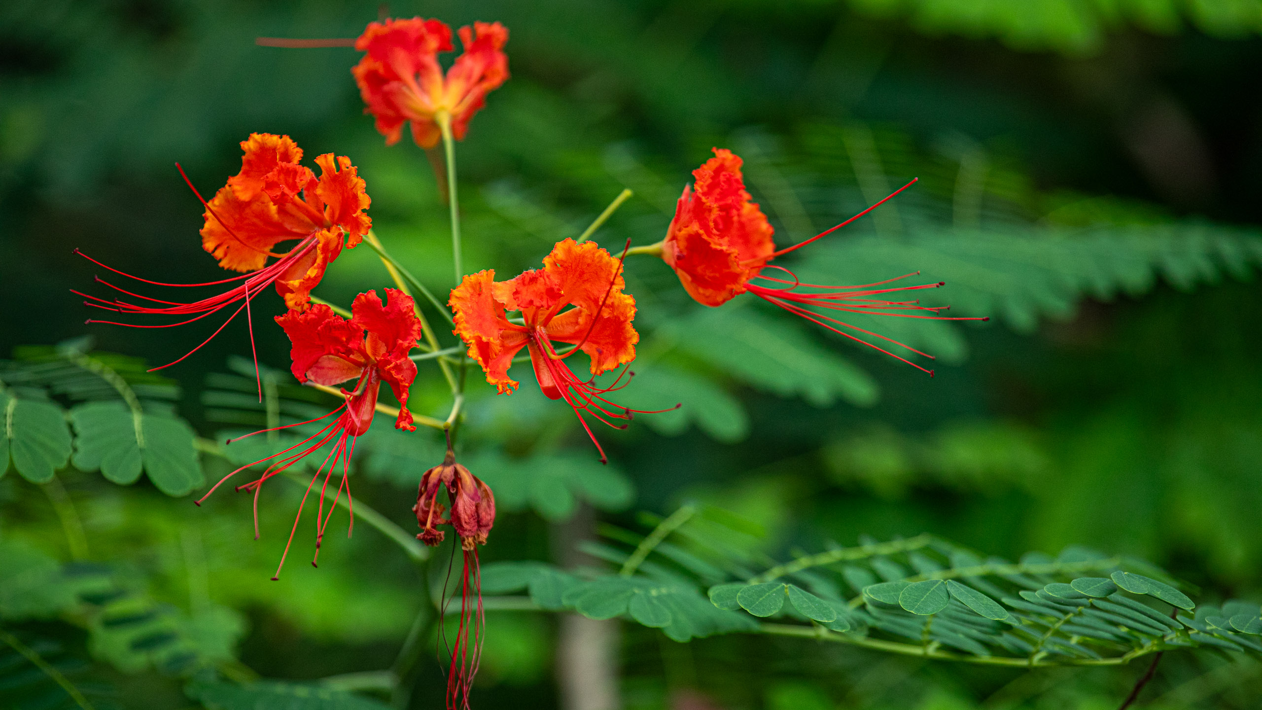 20240114095940 RD4 9768