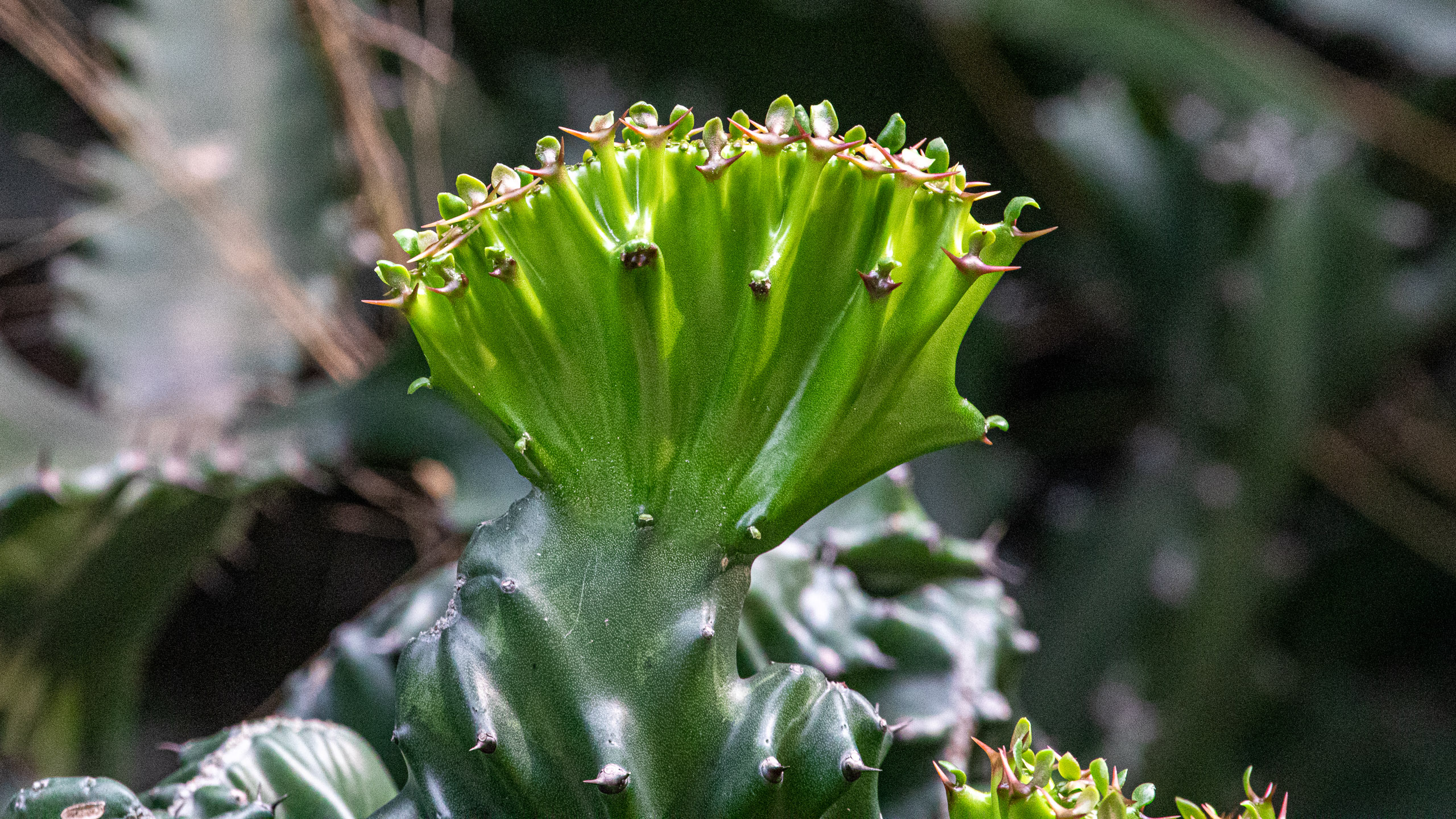 20240114100328 RD4 9776