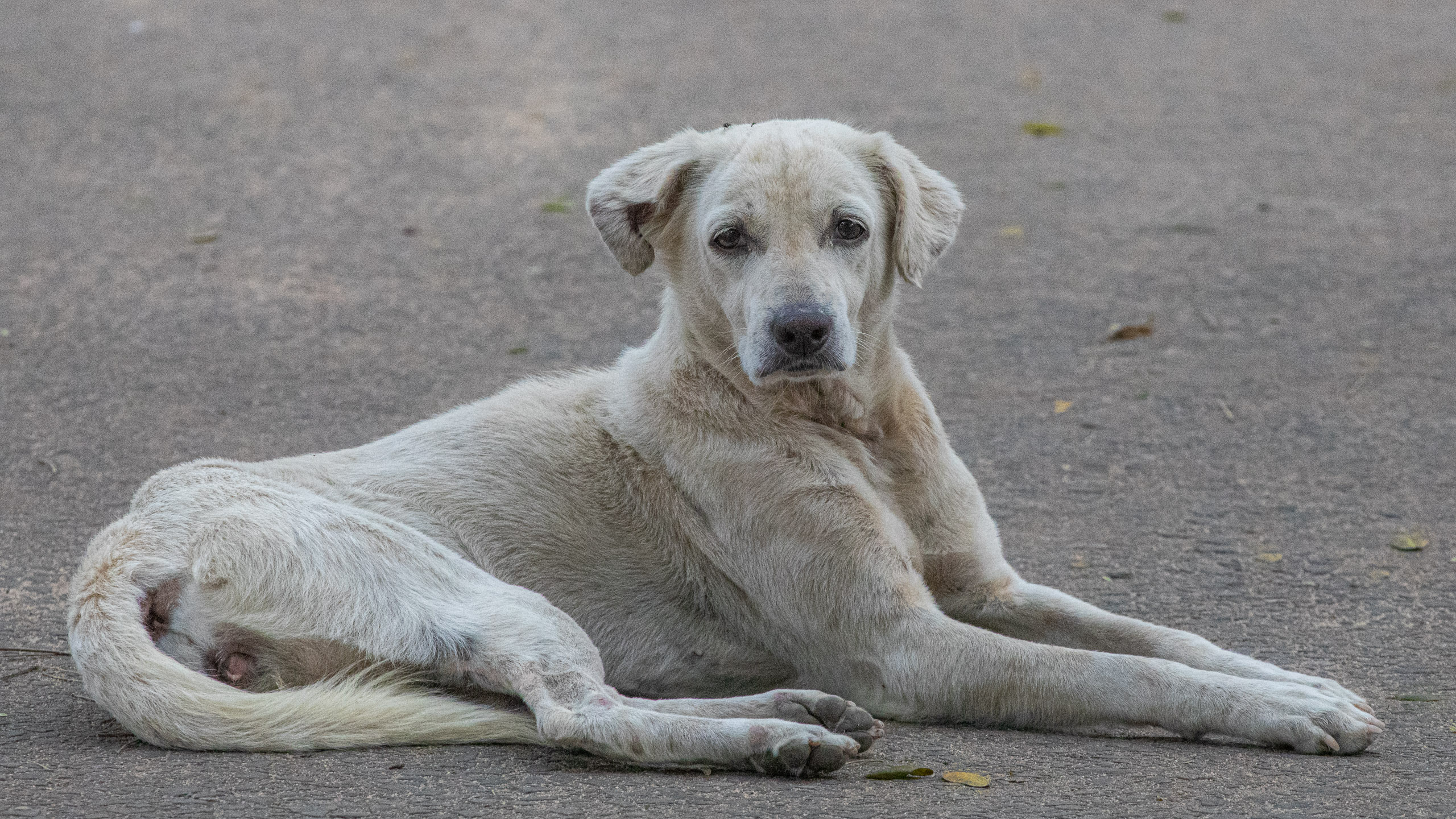 20240114100612 RD4 9788