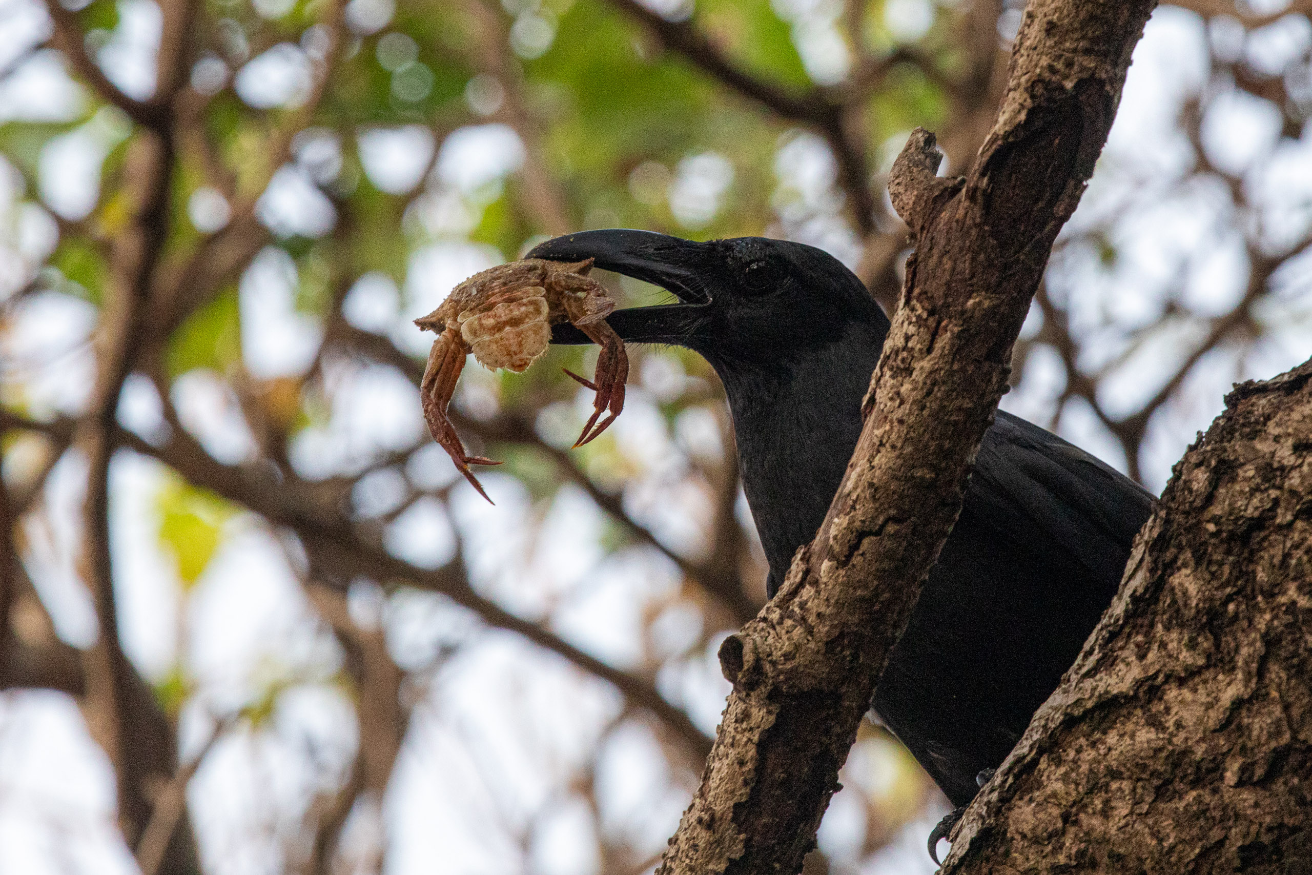 20240114170623 RD4 9792