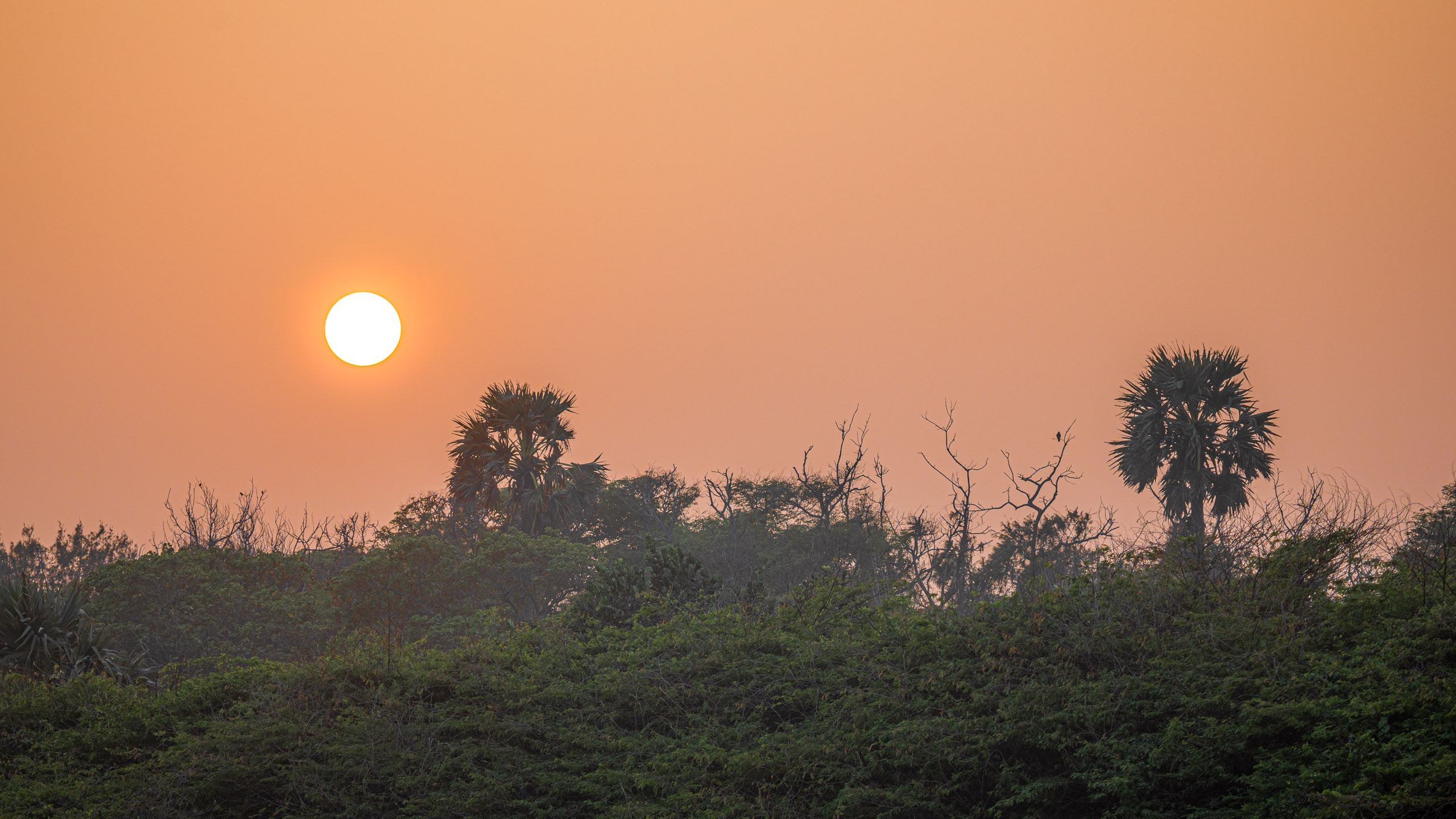 20240114173444 RD4 9974