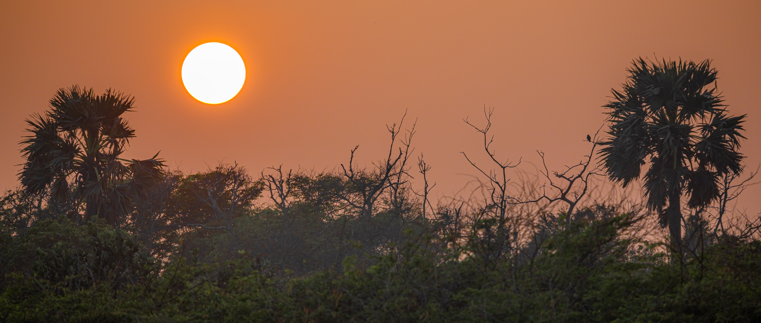 20240114173529 RD4 9976