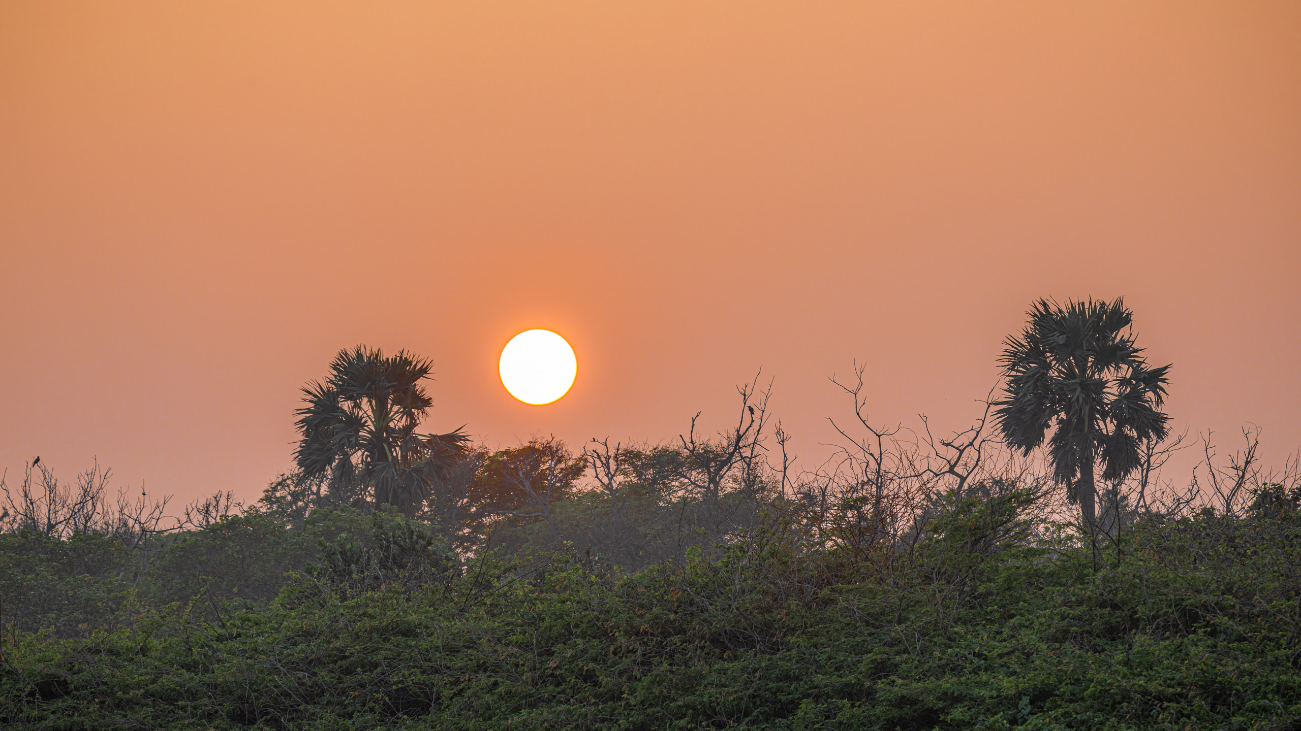 20240114173648 RD4 9984