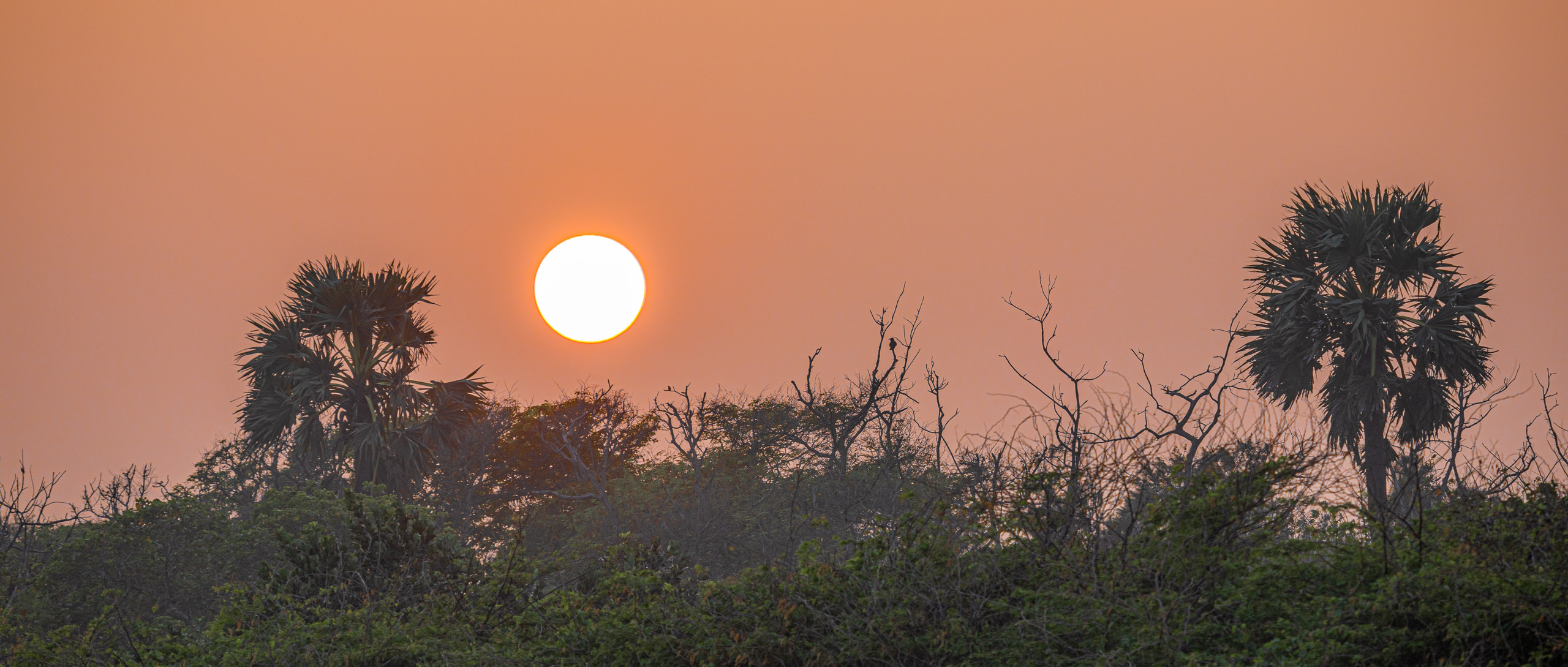 20240114173653 RD4 9989