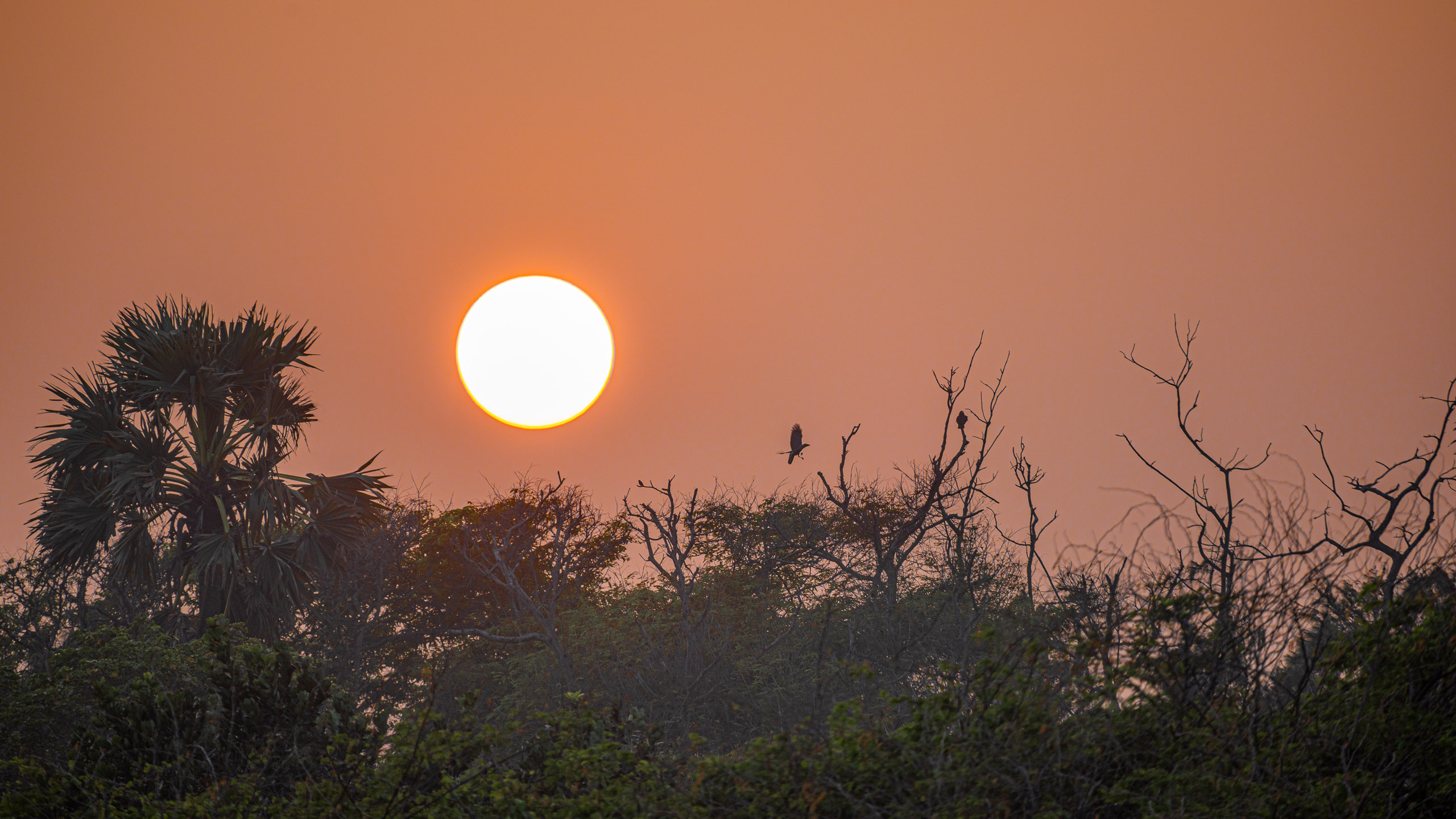 20240114173703 RD4 9996