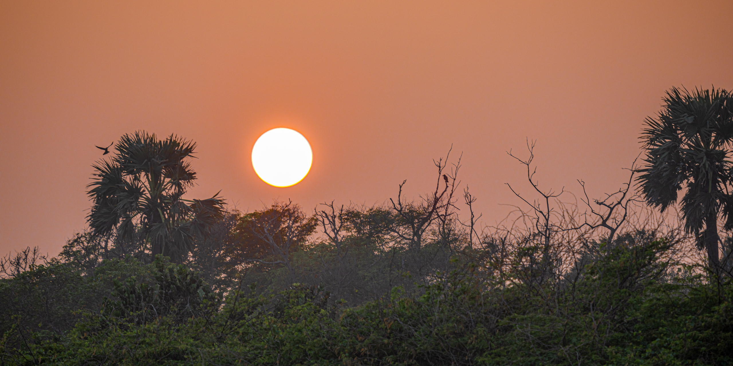 20240114173717 RD4 0005