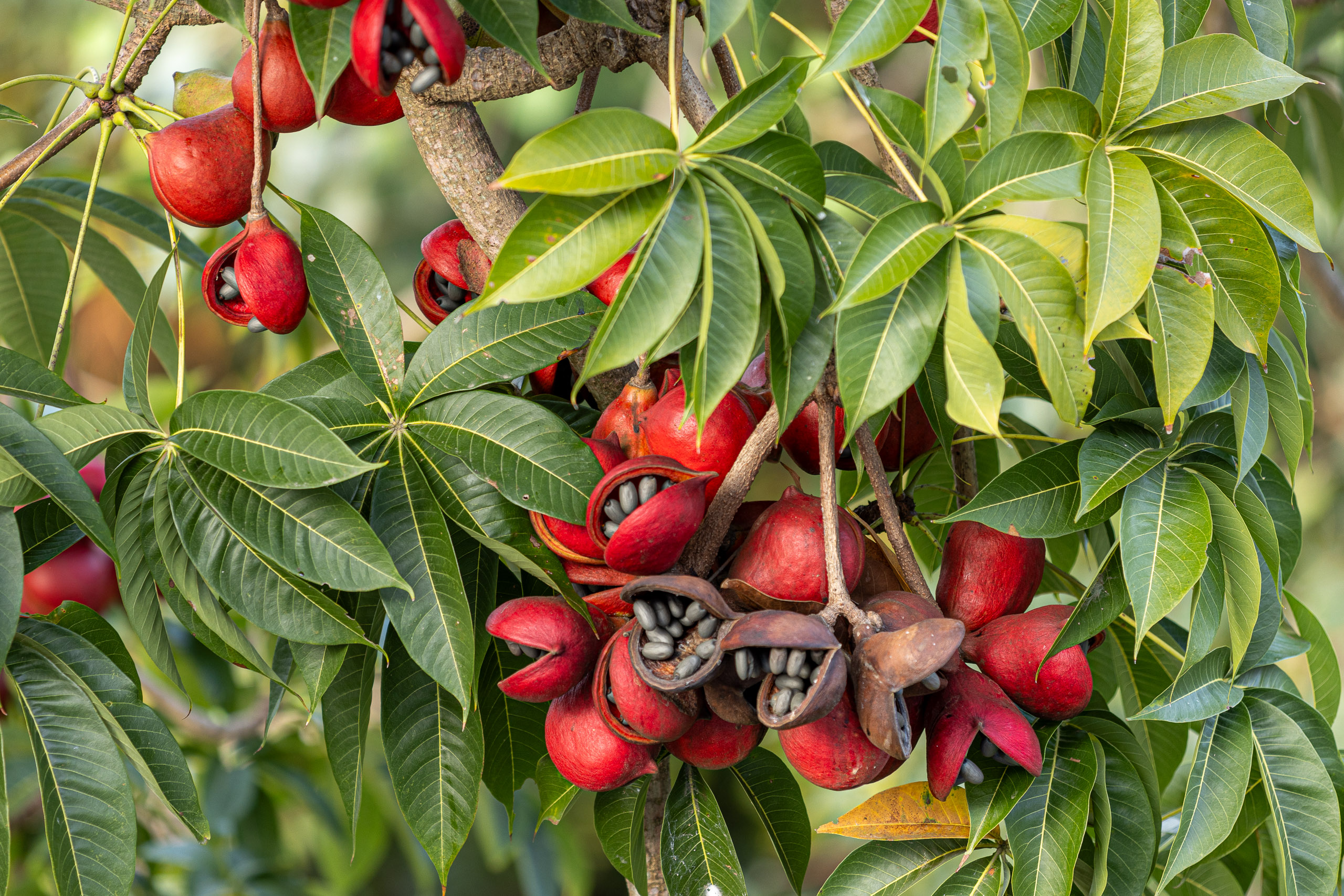 20240117170116 R5D 2955