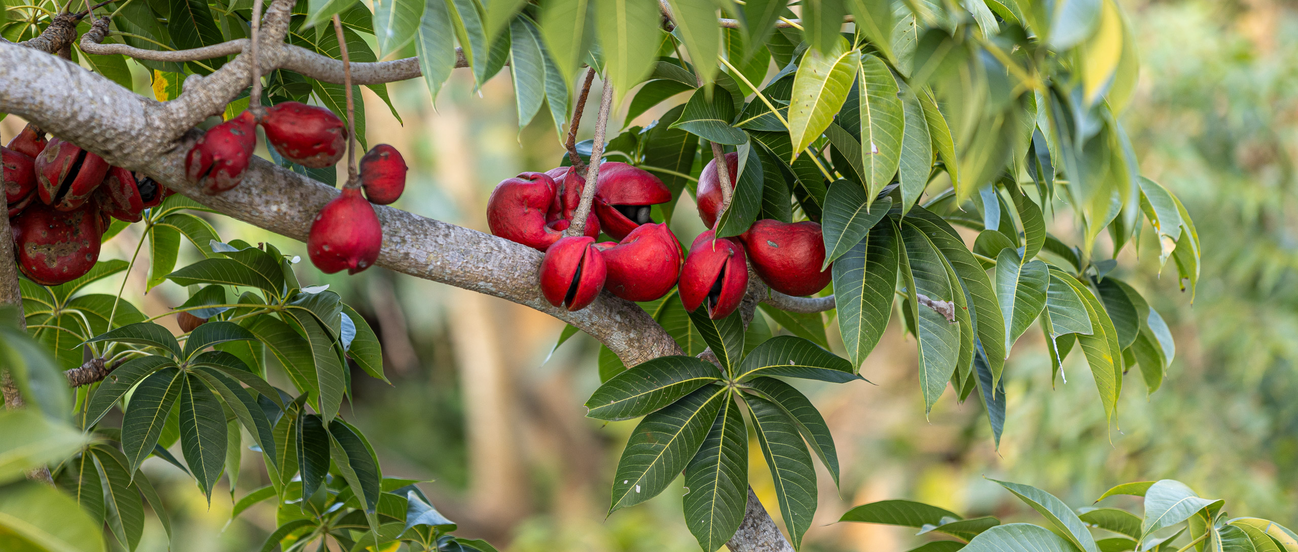 20240117170127 R5D 2959