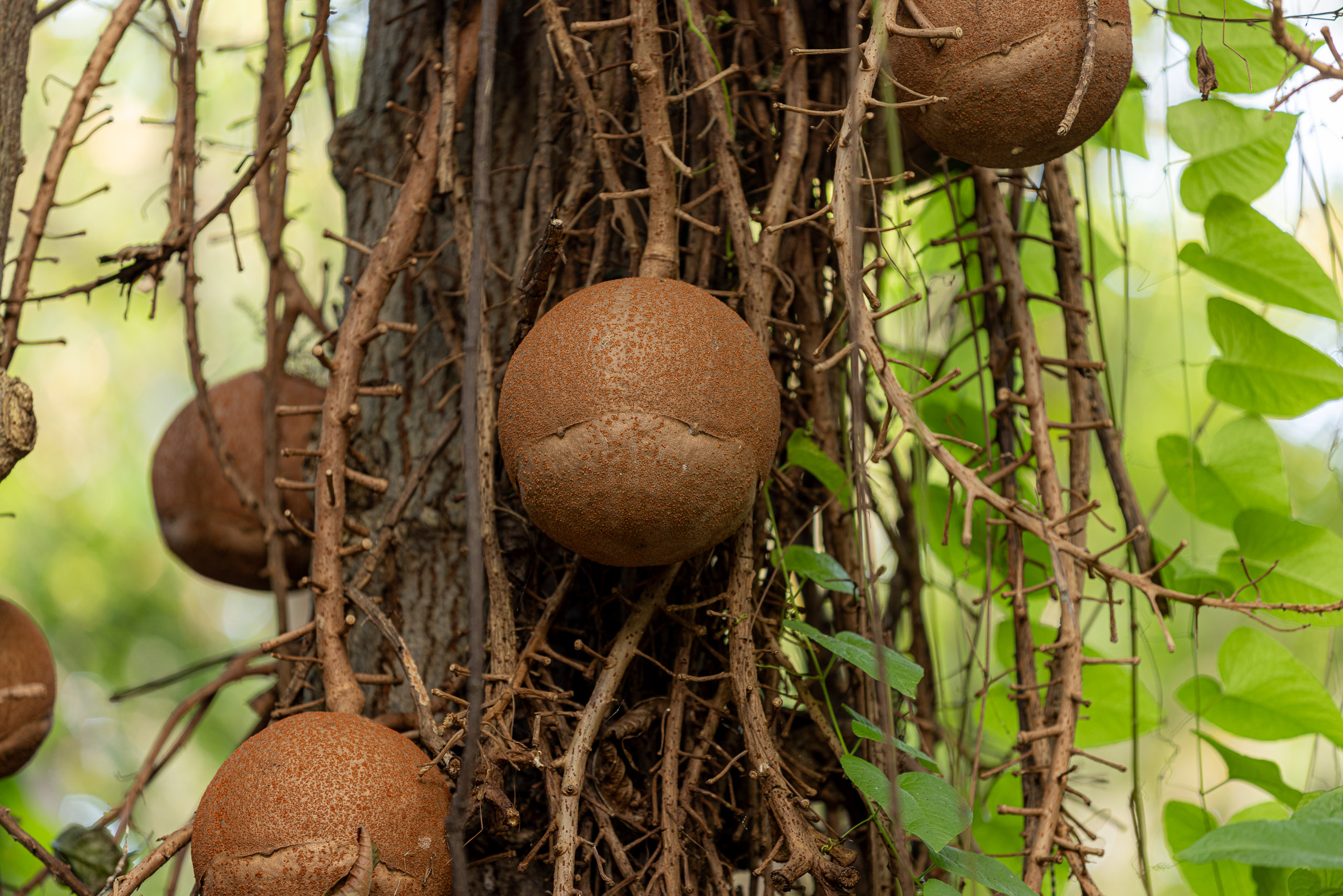 20240117170439 R5D 2962