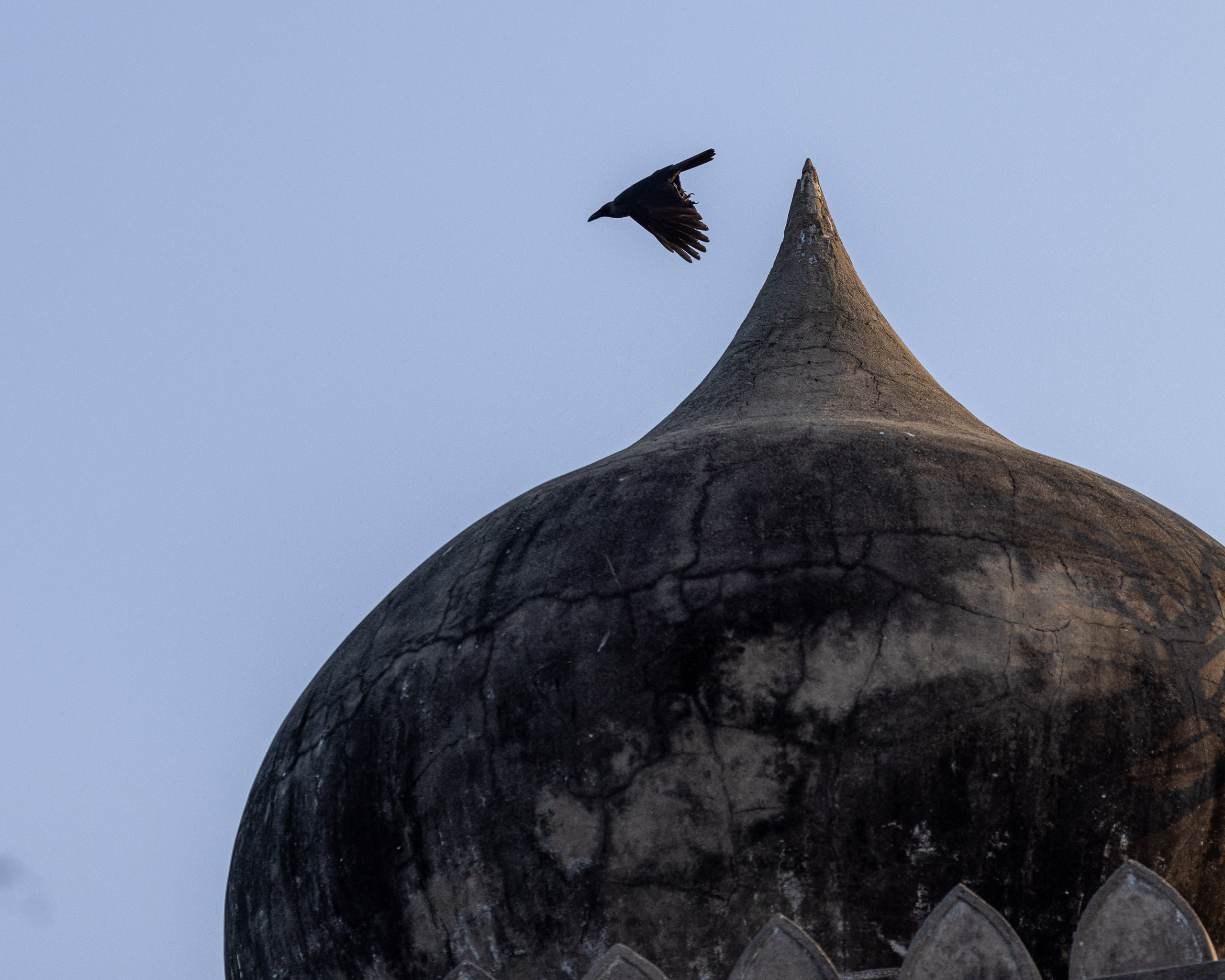 20240117170753 R5D 2966