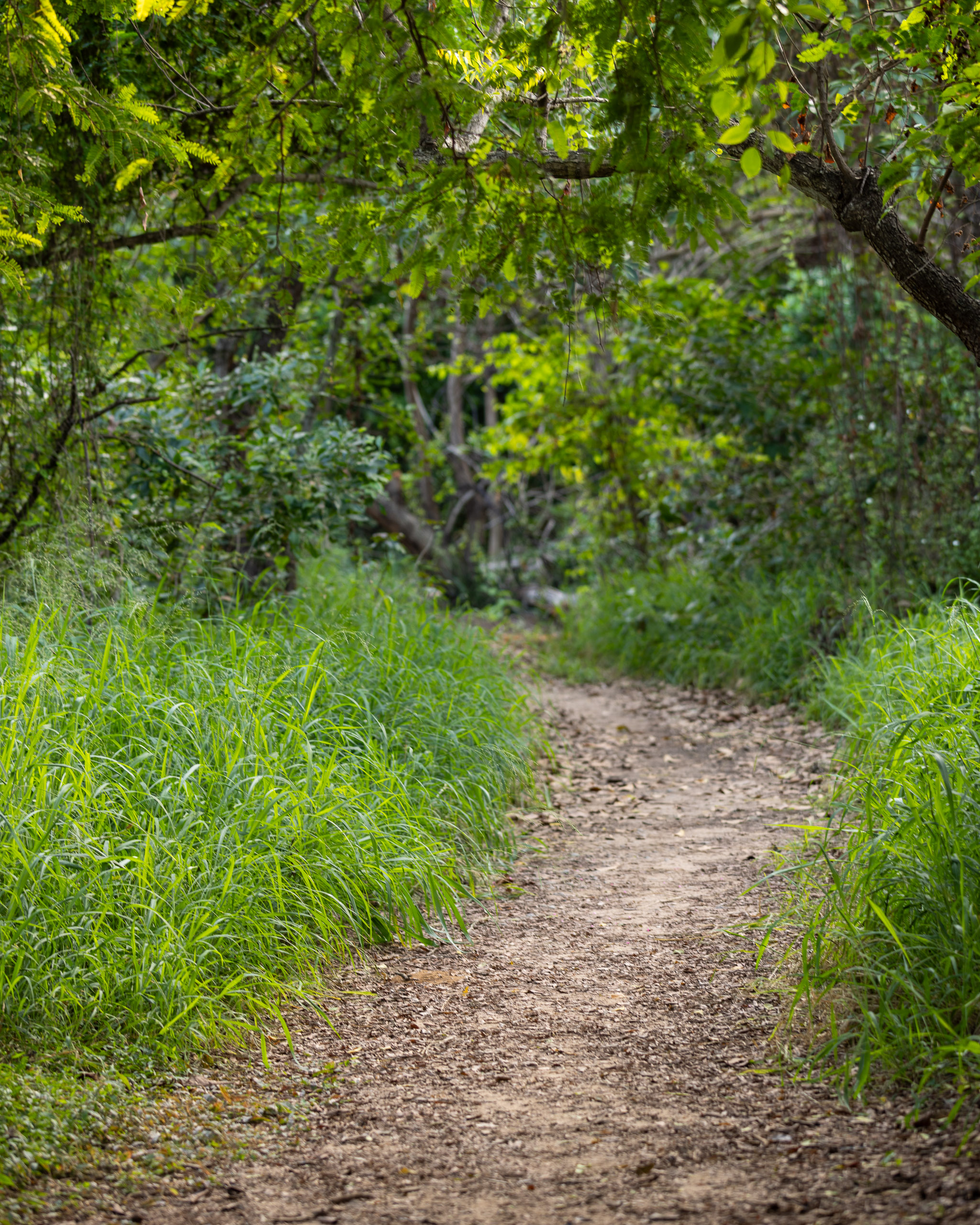 20240117171053 R5D 2977