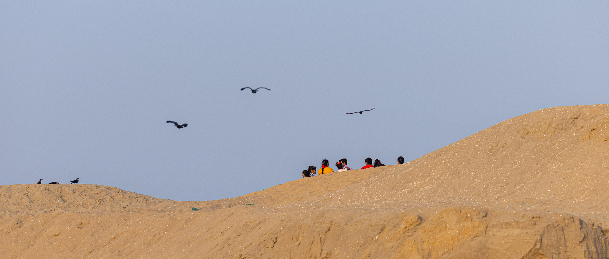 20240117171338 R5D 2981