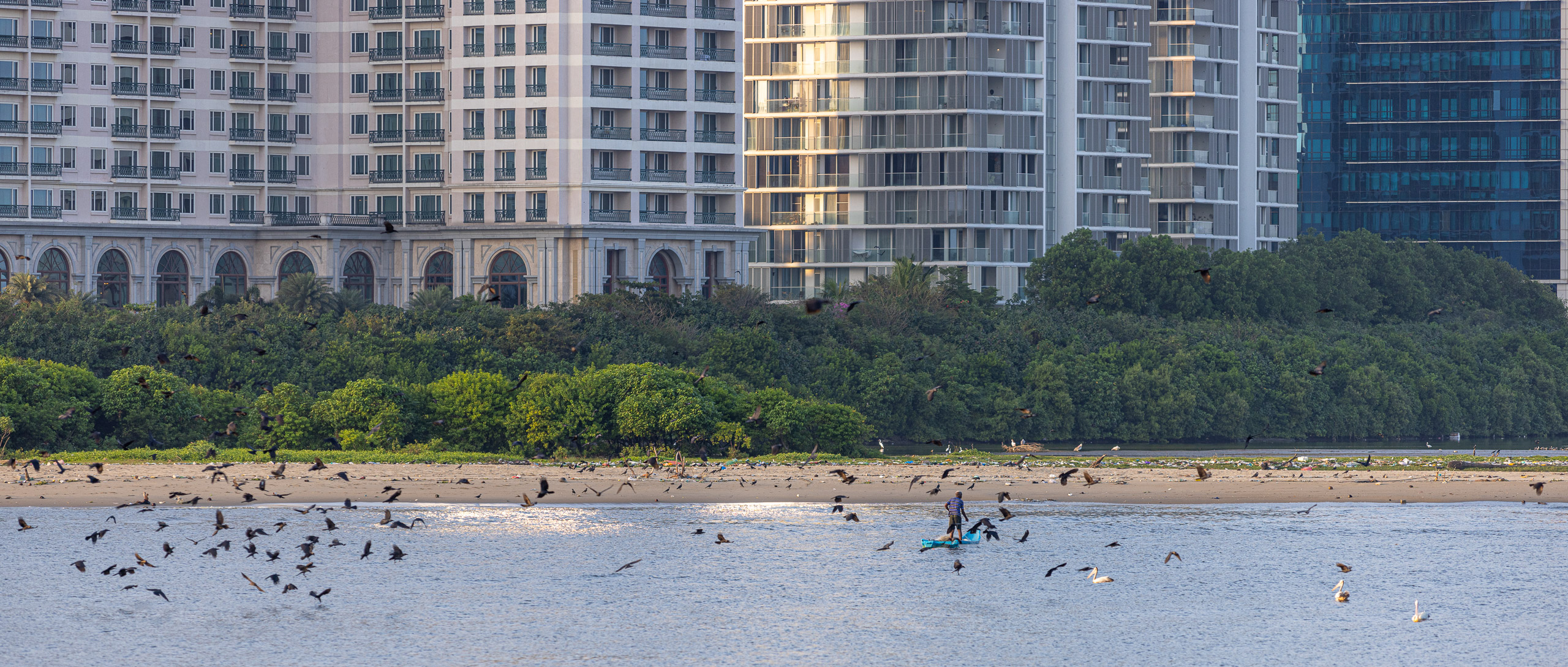 20240117171729 R5D 2988