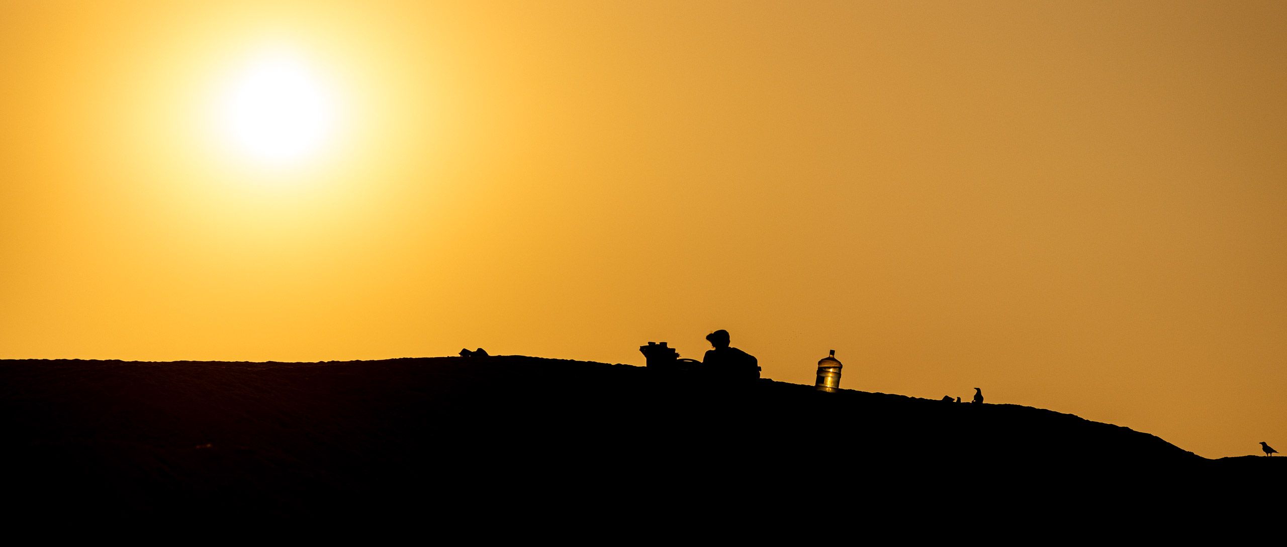 20240117172751 R5D 3032