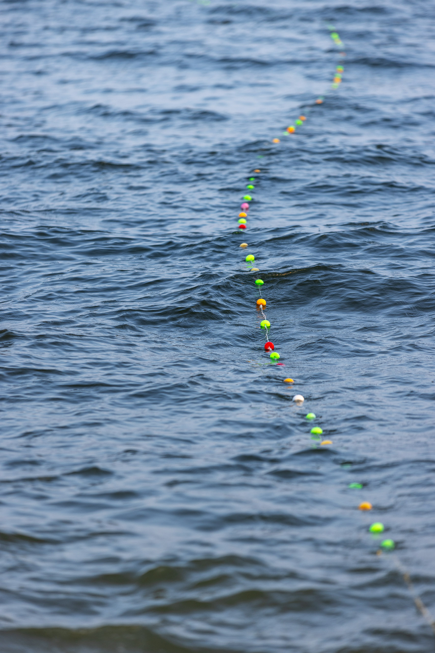 20240117173600 R5D 3126