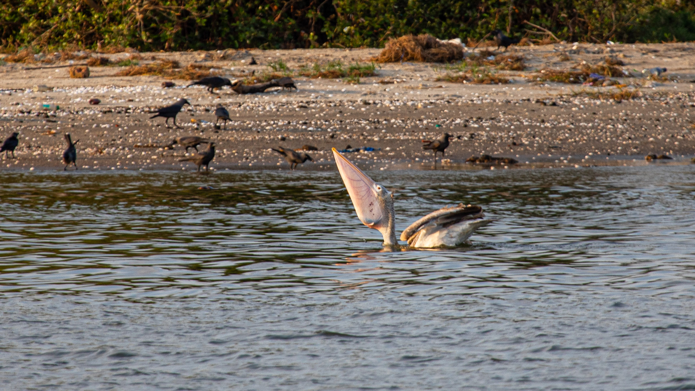 20240118170824 RD4 0973