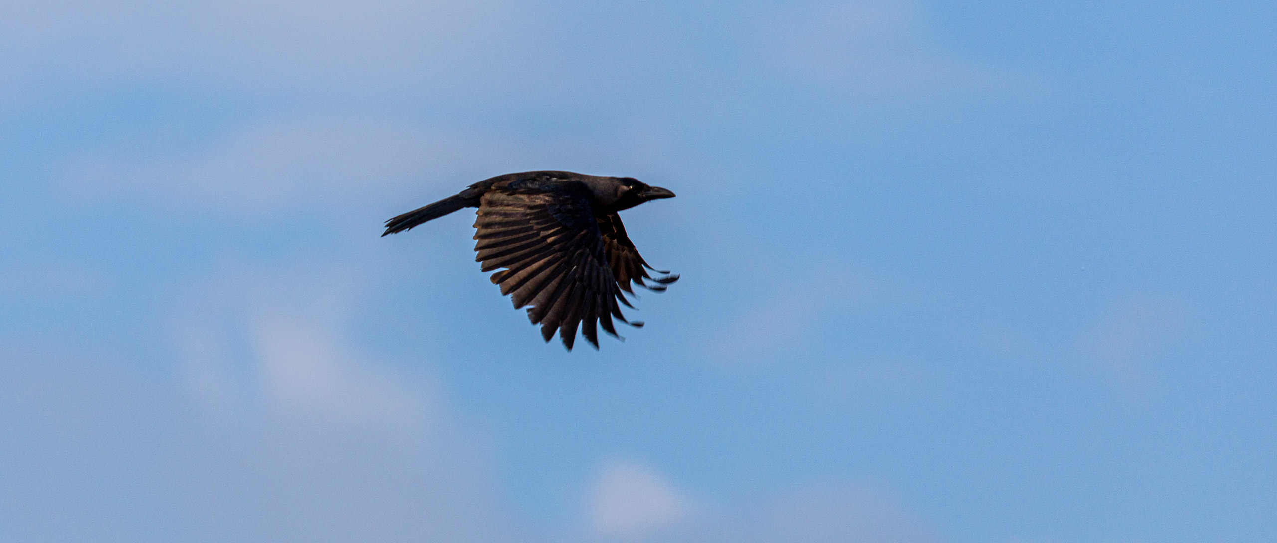 20240118171643 RD4 0989