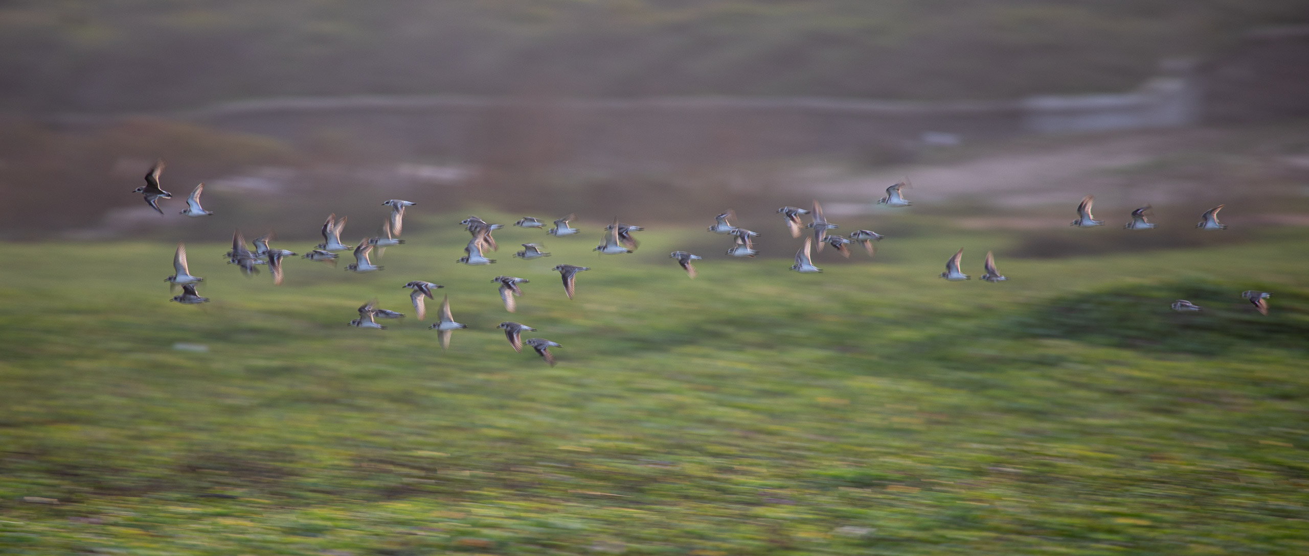 20240118172818 RD4 1090