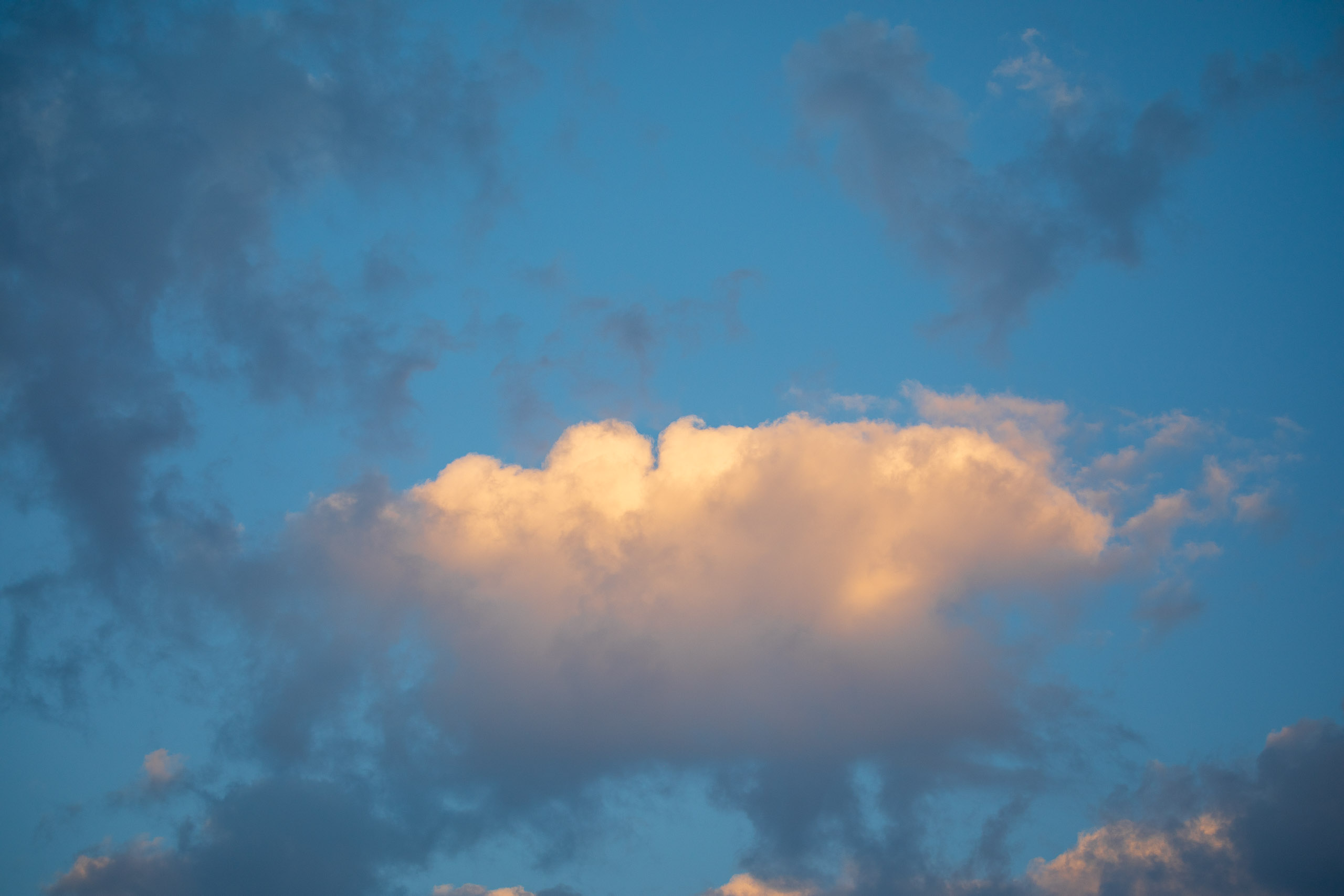 20240118175248 RD4 1198