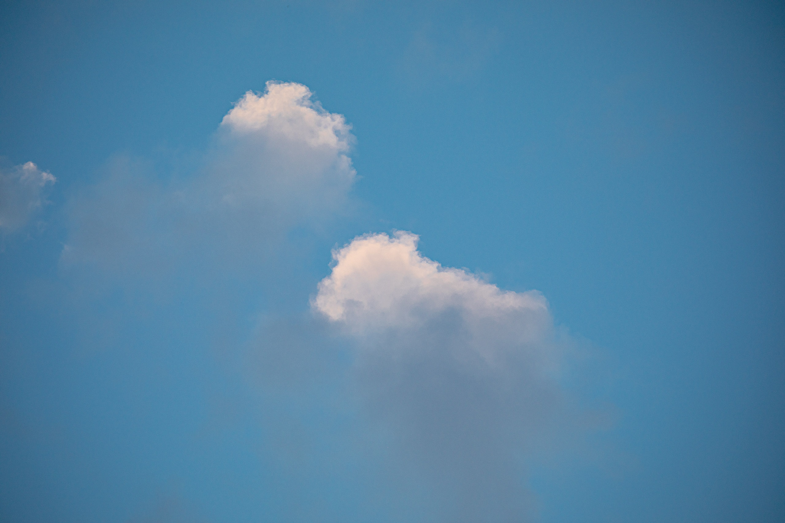 20240118175257 RD4 1199