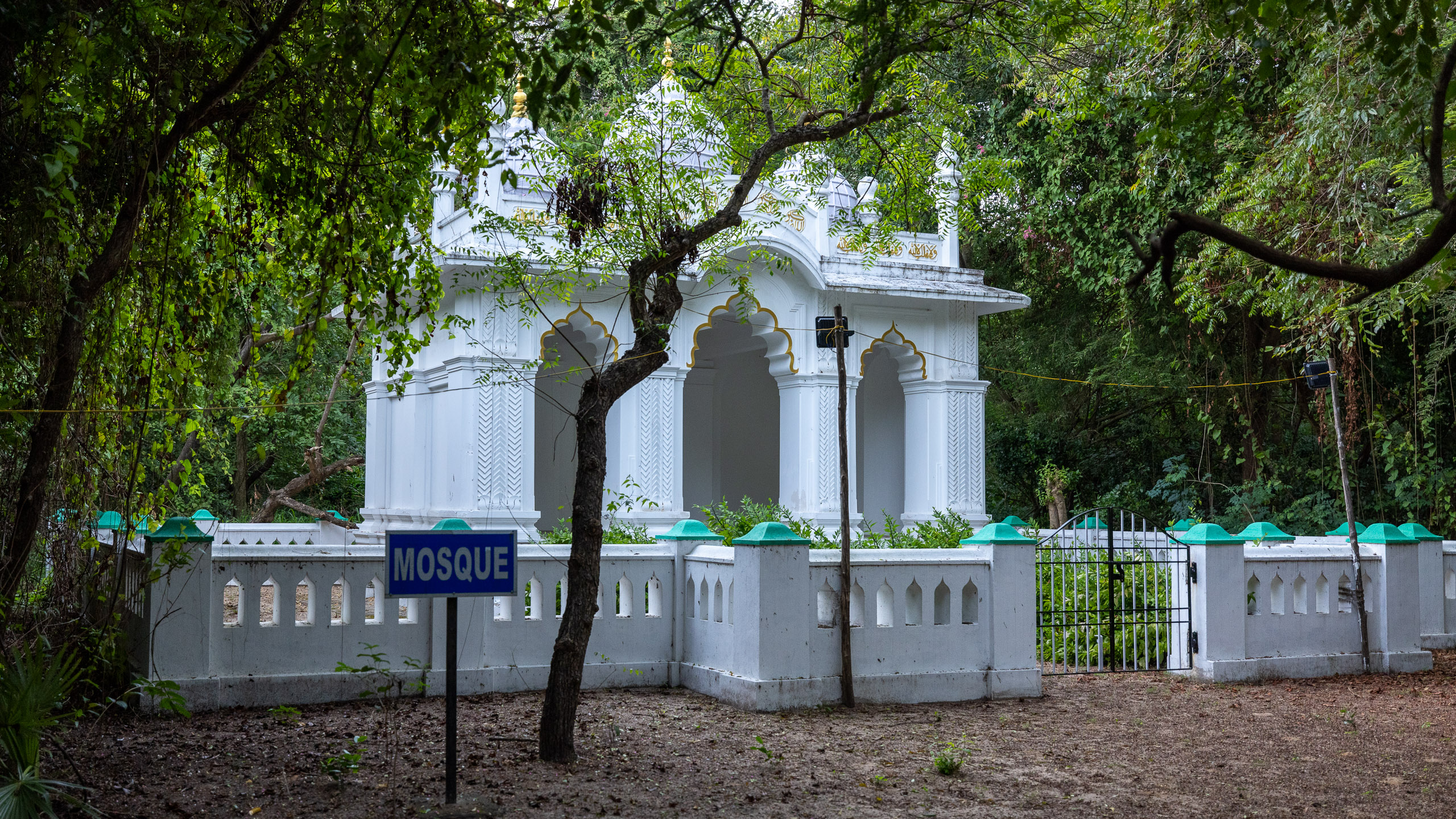 20240118180222 R5D 3205