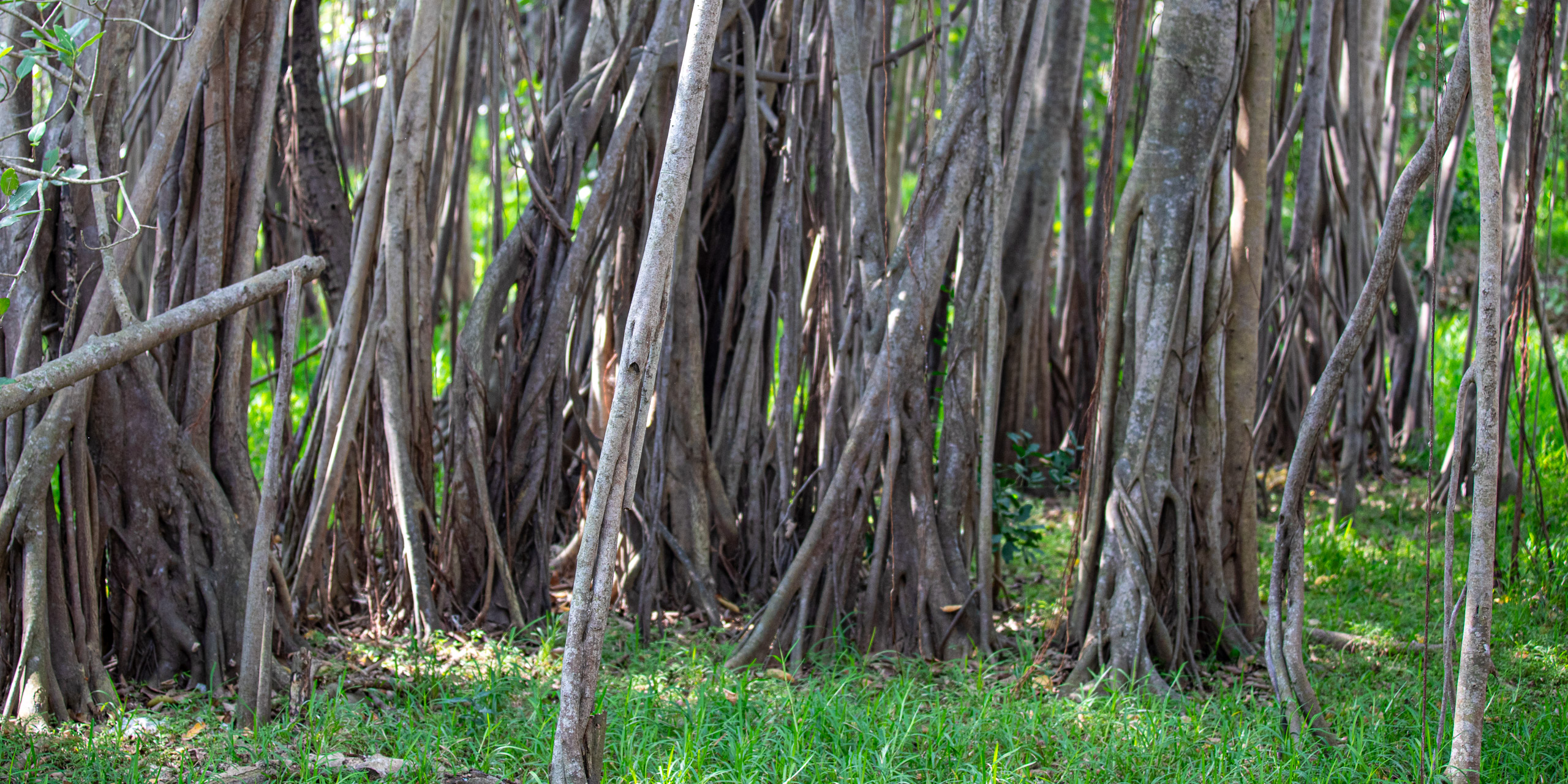 20240124102437 RD4 1550