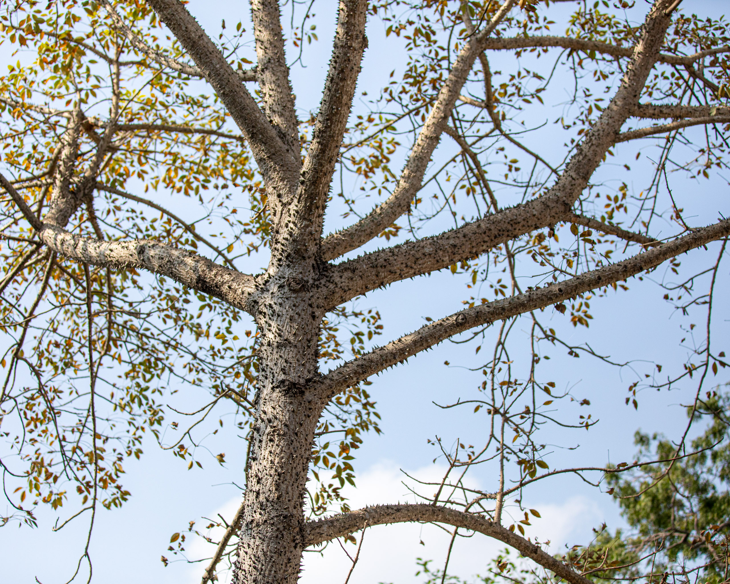 20240124102525 RD4 1553