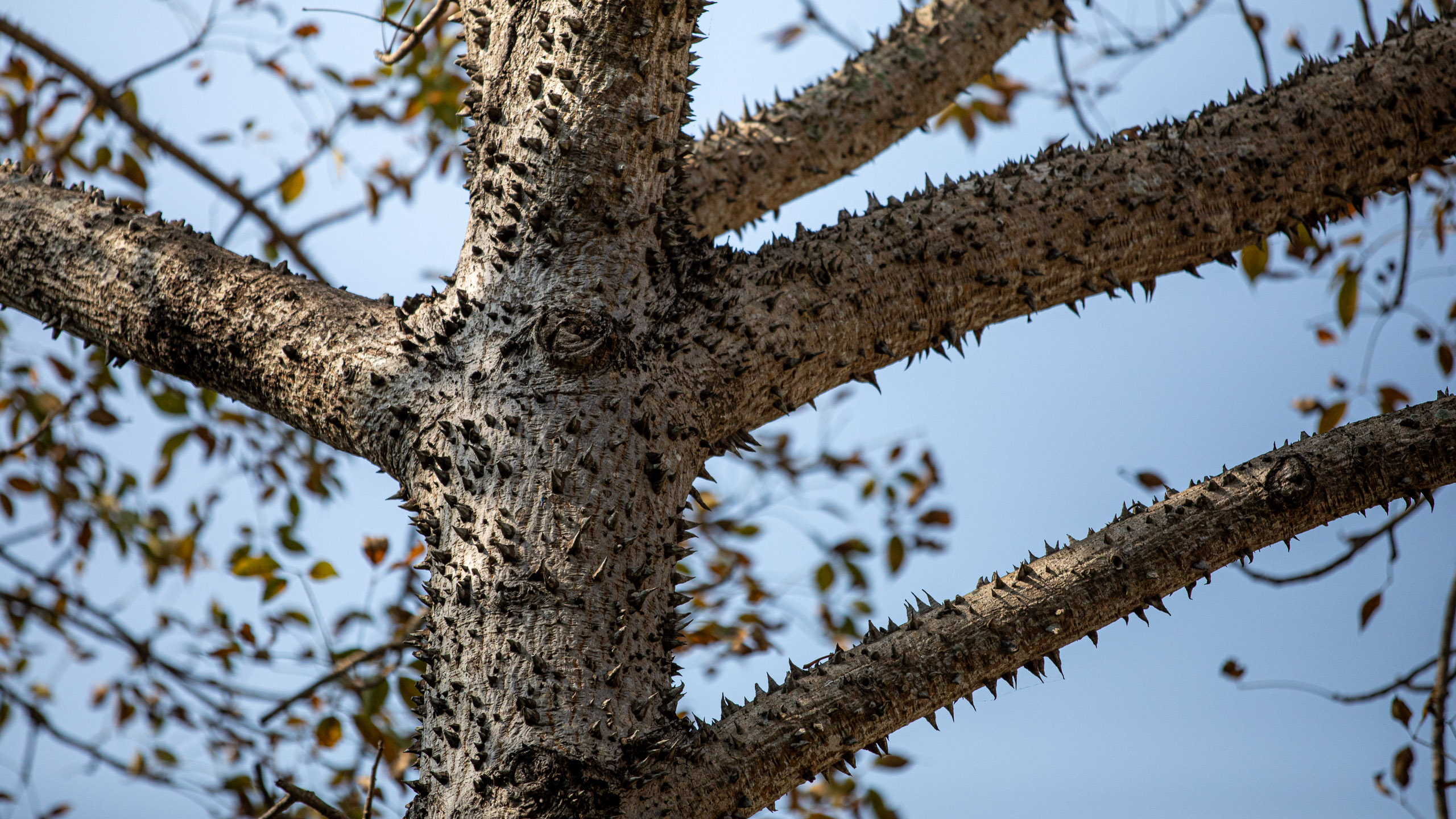 20240124102528 RD4 1554