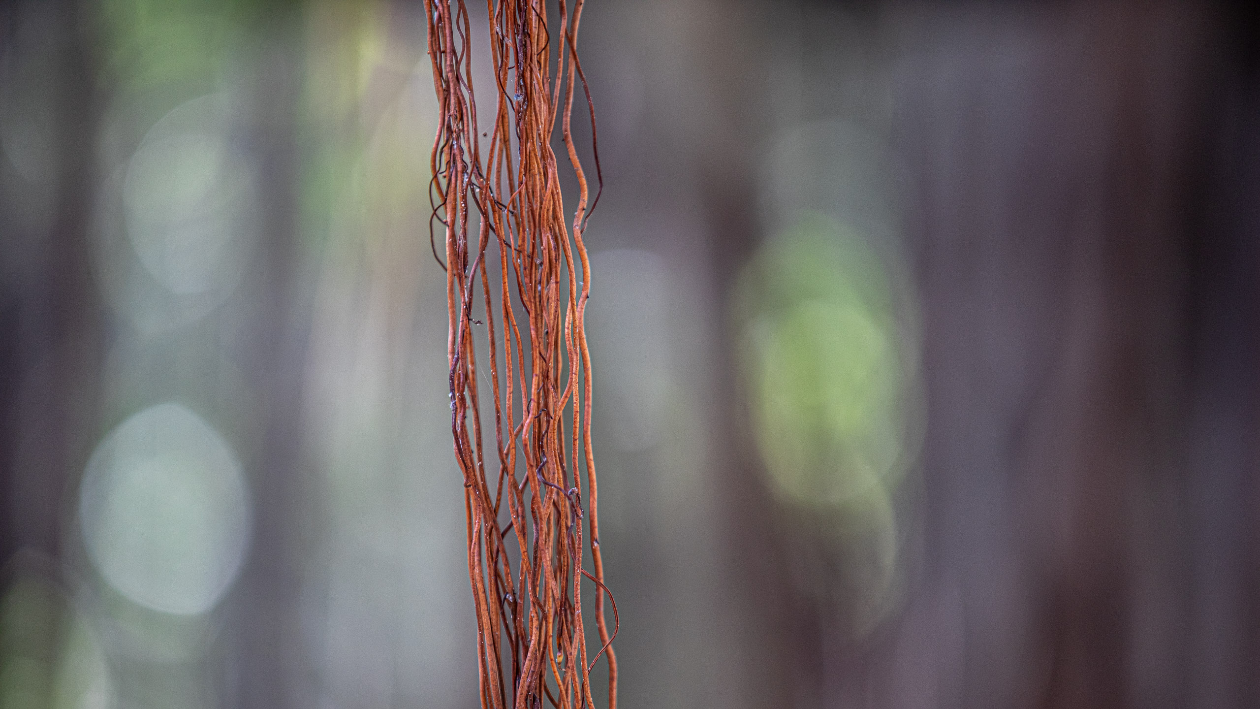 20240124102834 RD4 1591