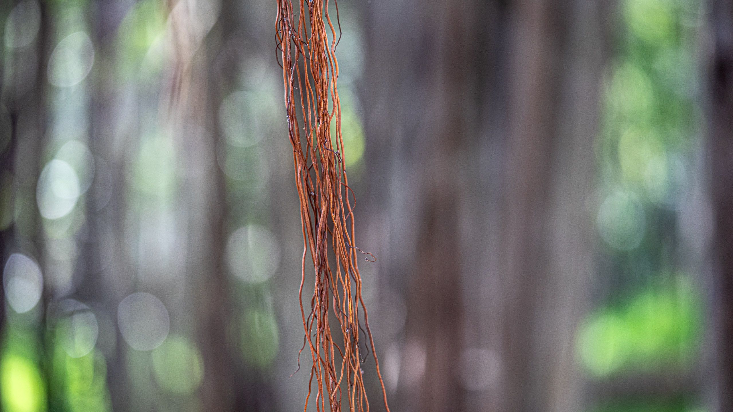 20240124102844 RD4 1595