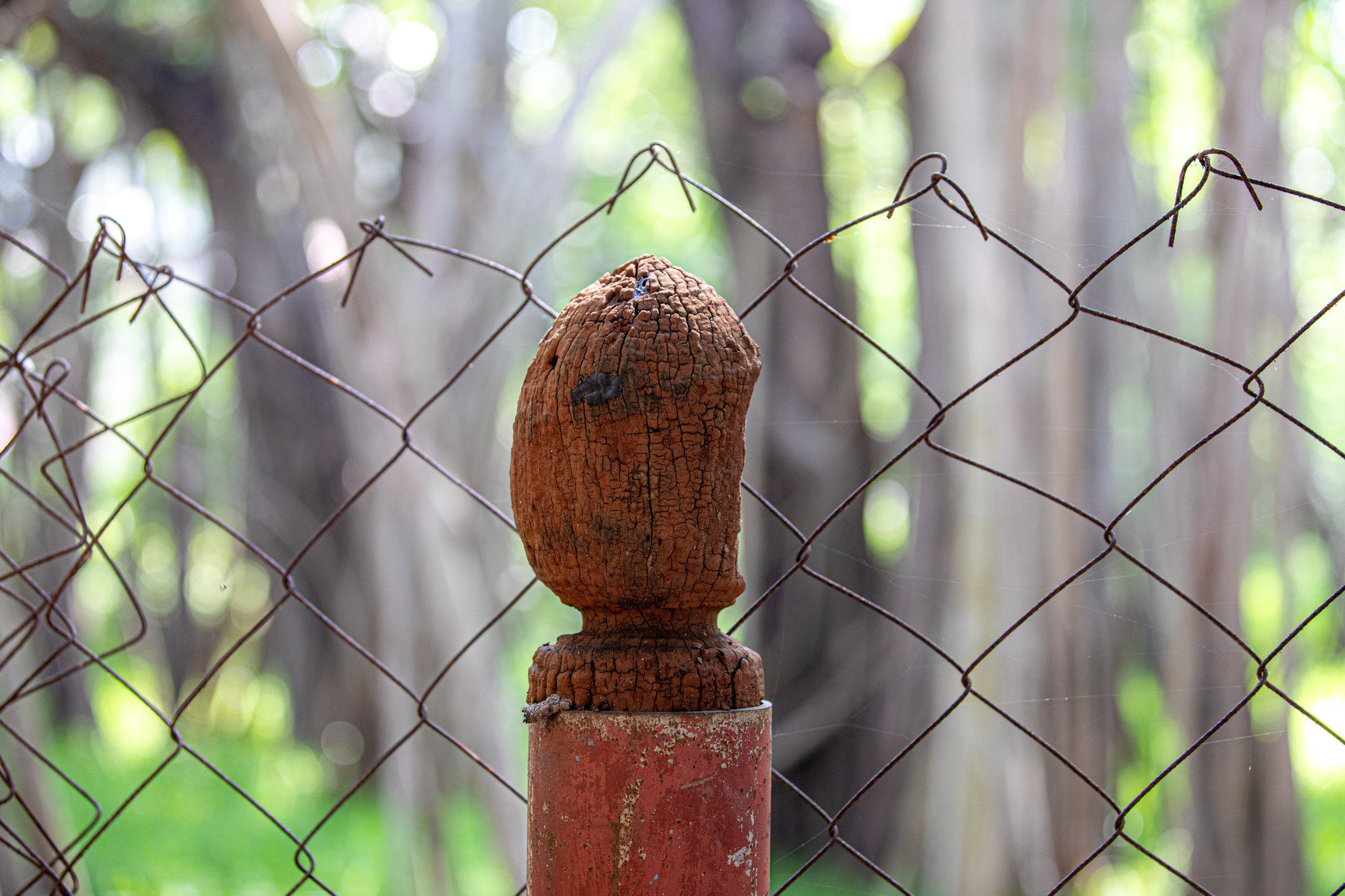 20240124102940 RD4 1602