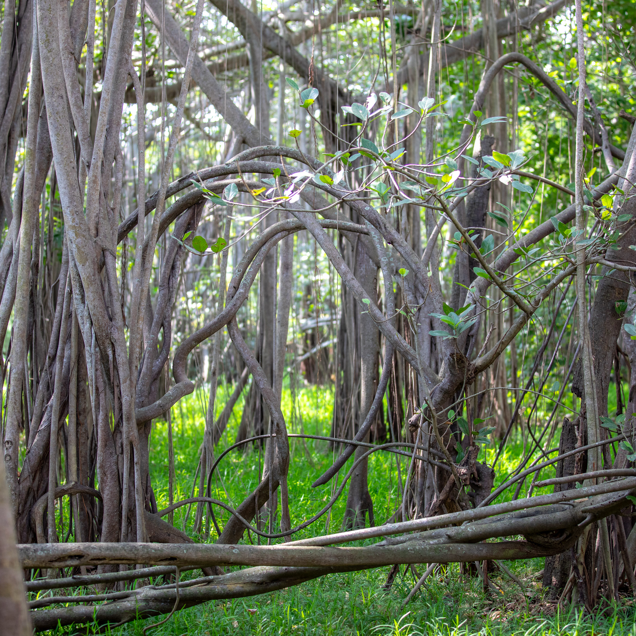 20240124103004 RD4 1603