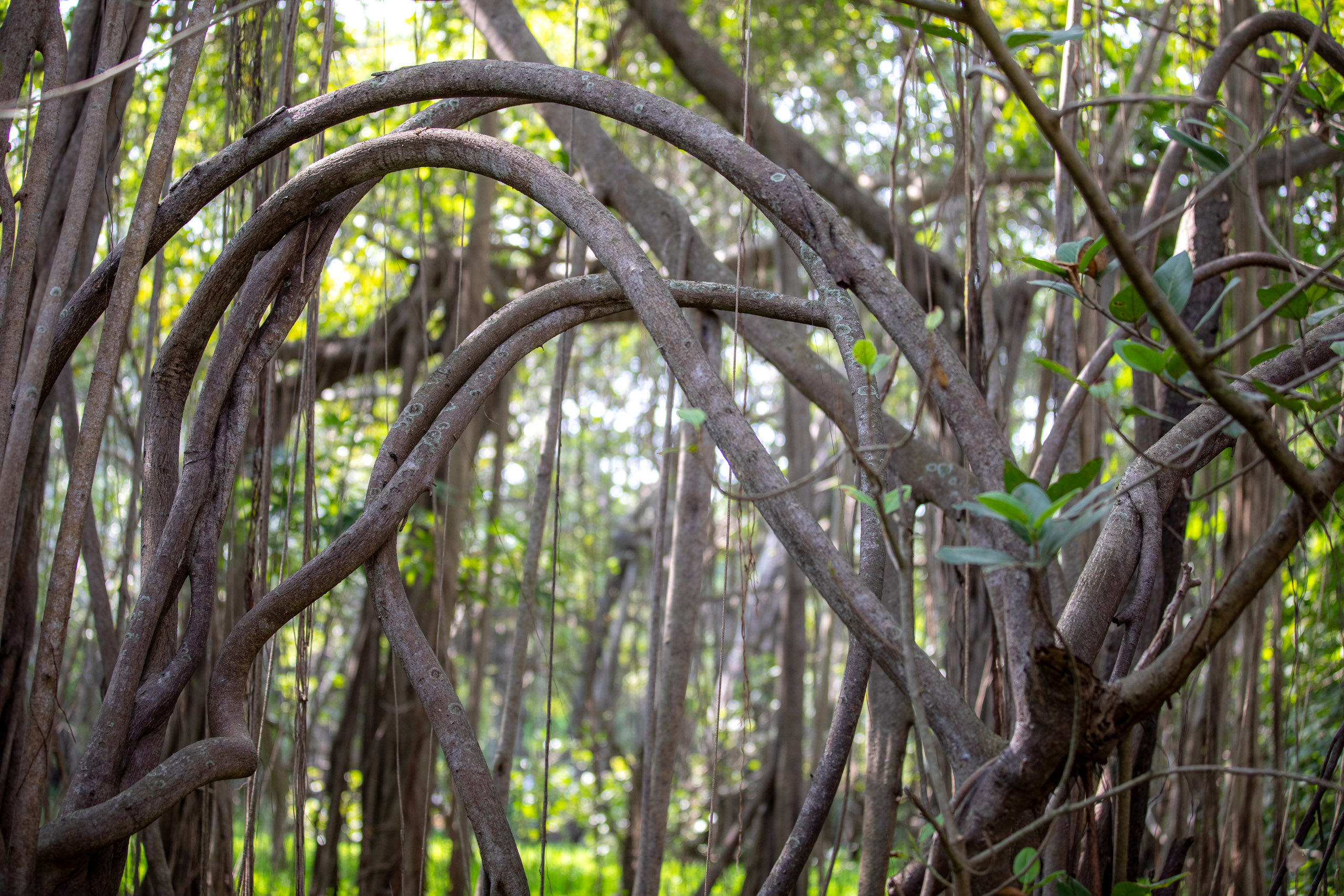 20240124103214 RD4 1612