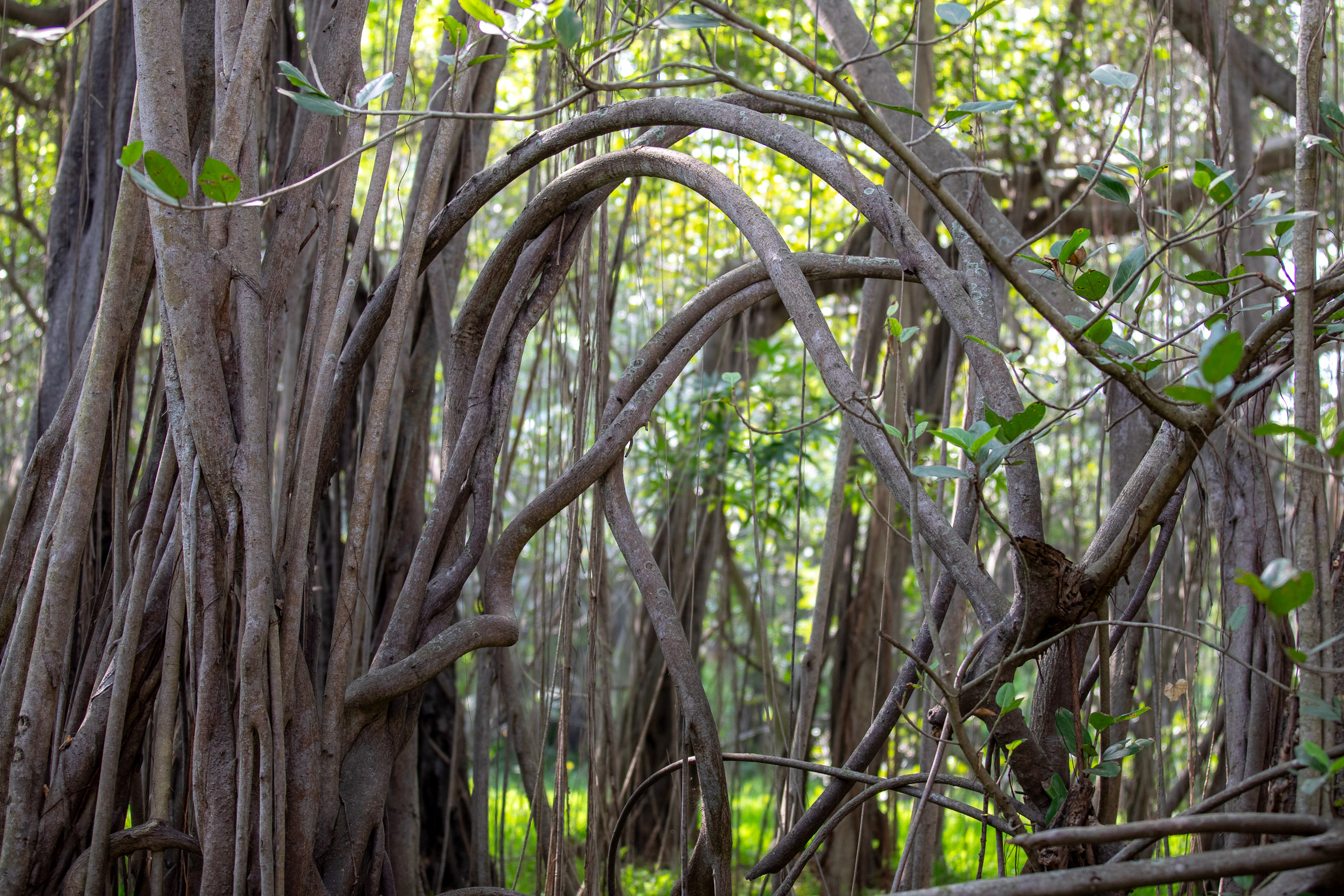 20240124103235 RD4 1617